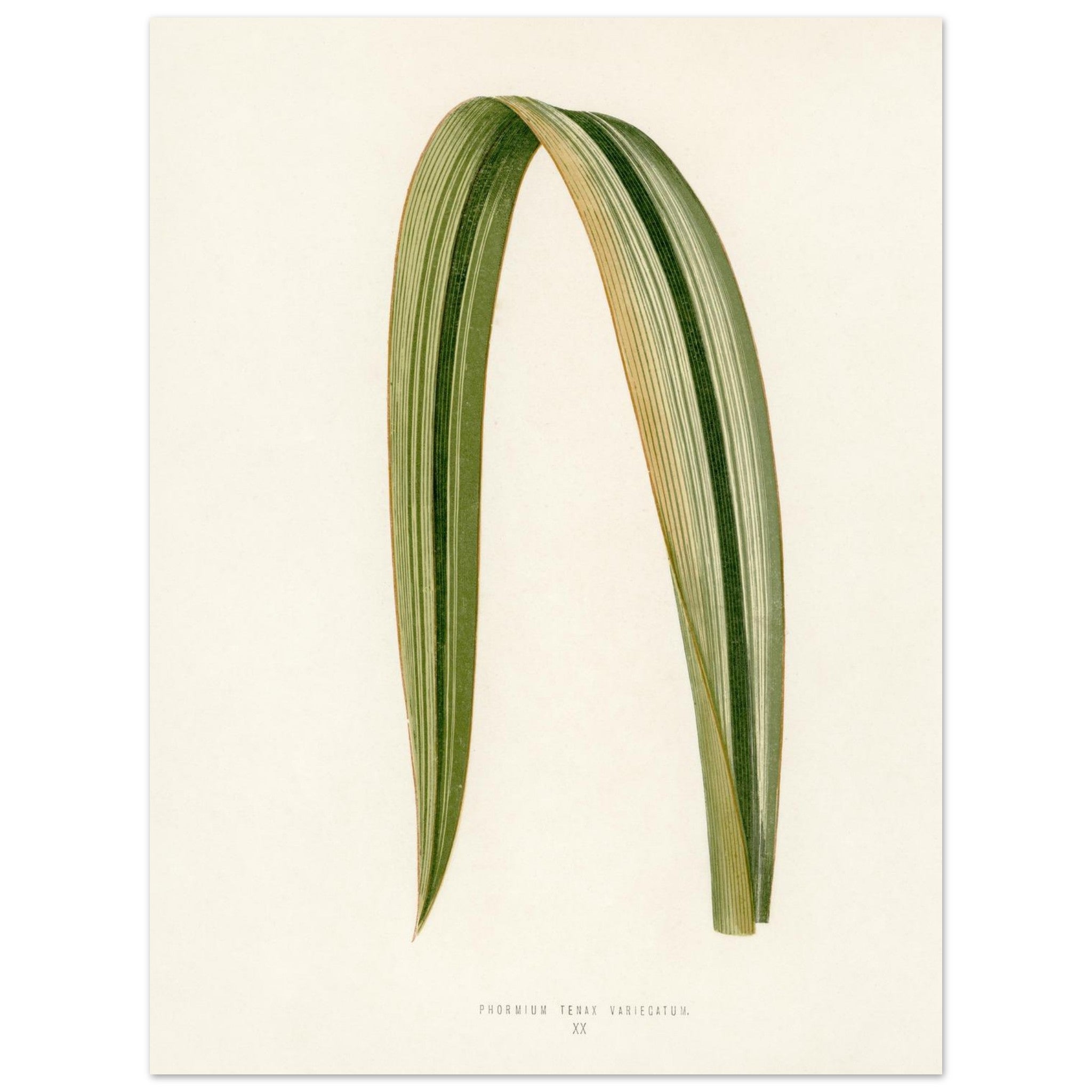 0110c9b8-a01d-46e1-a14b-052b582aebdf