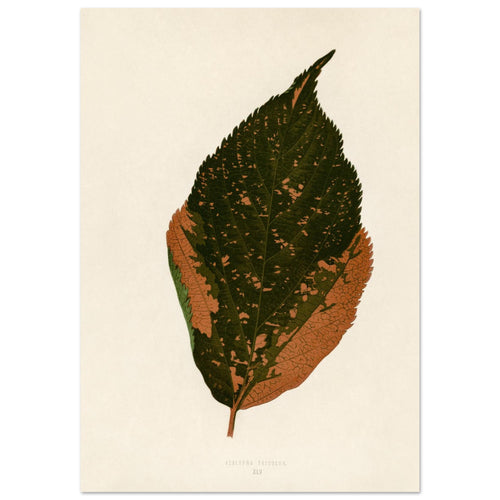 05dd5911-5fca-4db6-8806-ed5275397ae2