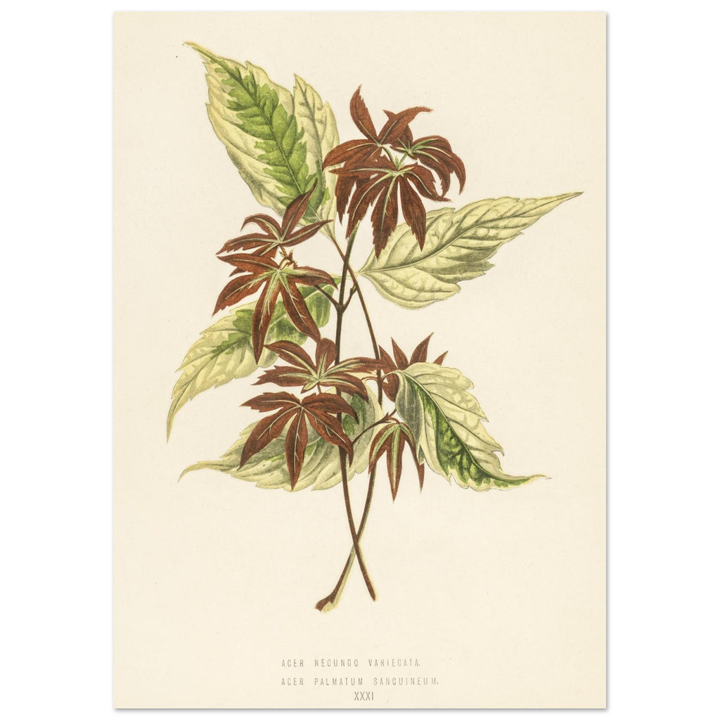 06ee7b31-4749-4eca-b500-e9f0555d3d3f