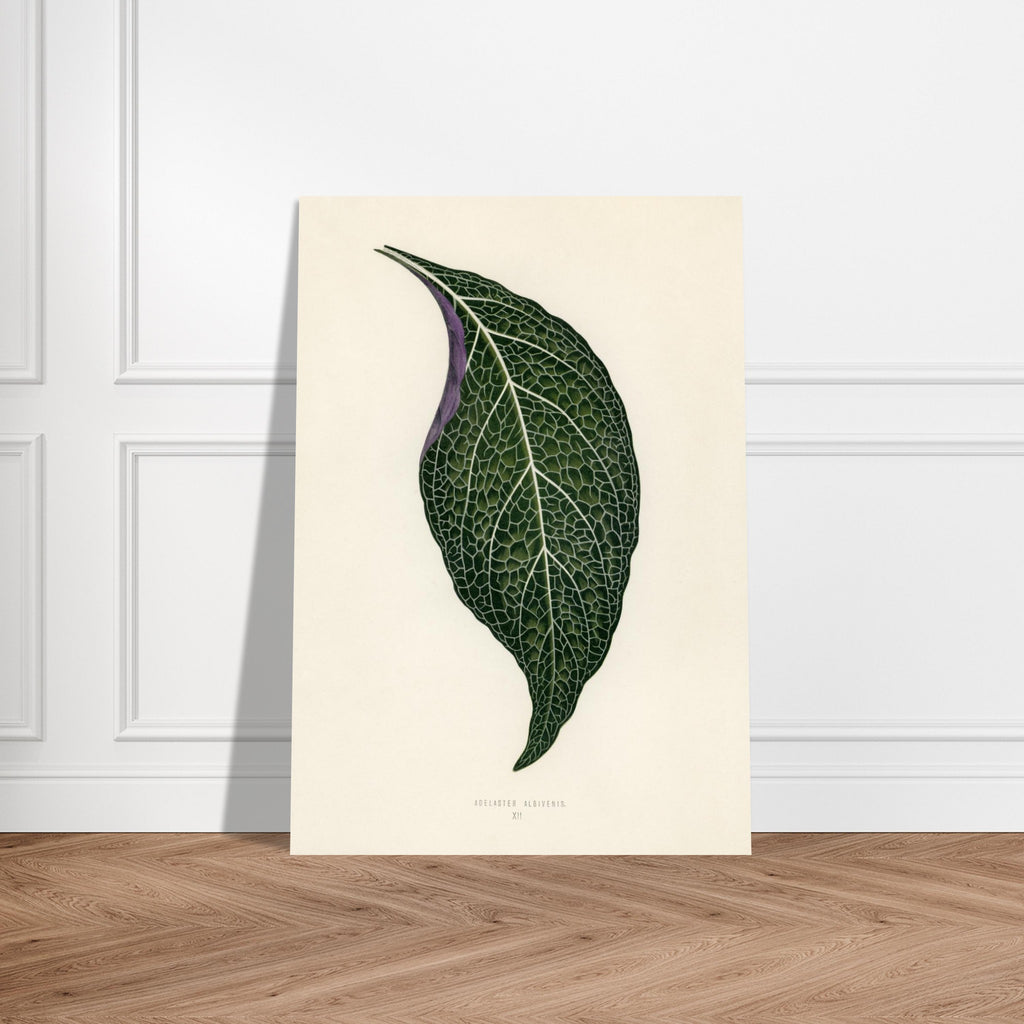 071507be-a828-4620-8765-403d3a69fa15