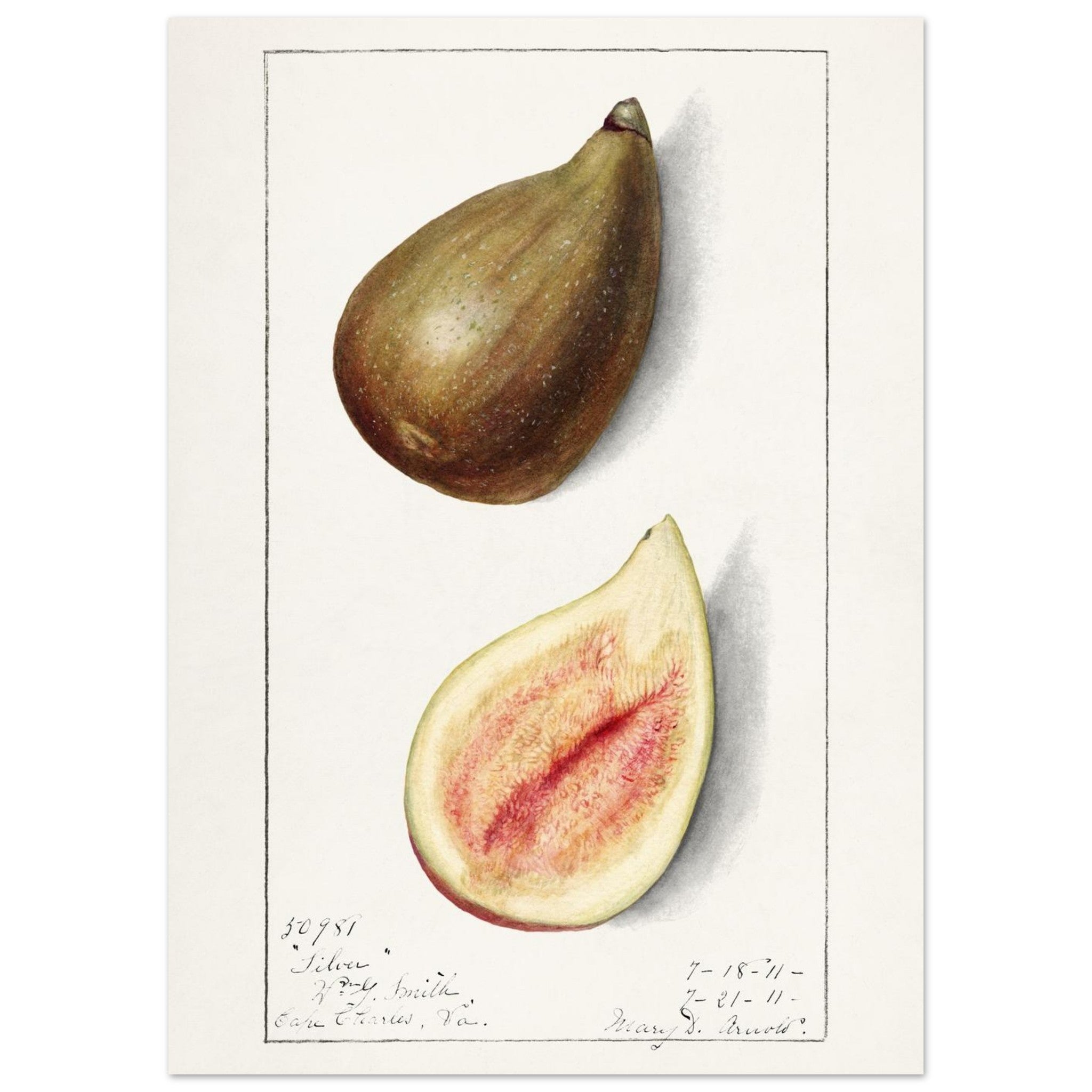 07fd428b-e3e4-4a53-a028-5ee793e6bff1