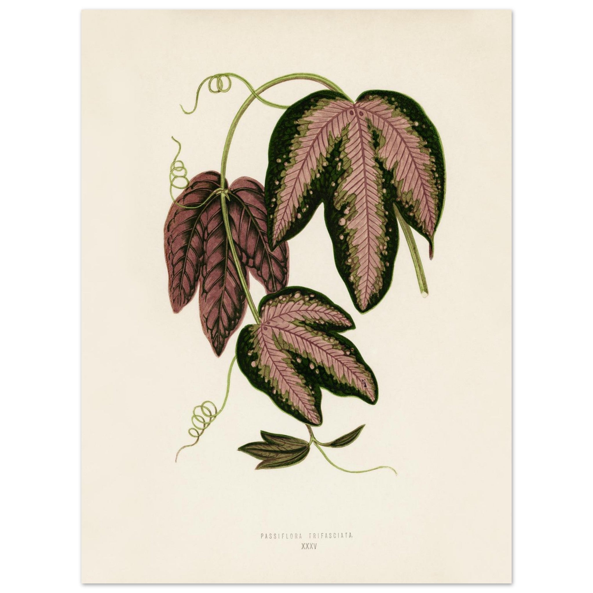 17e372a7-f5ba-433c-b7bb-42b40f2ac5d7