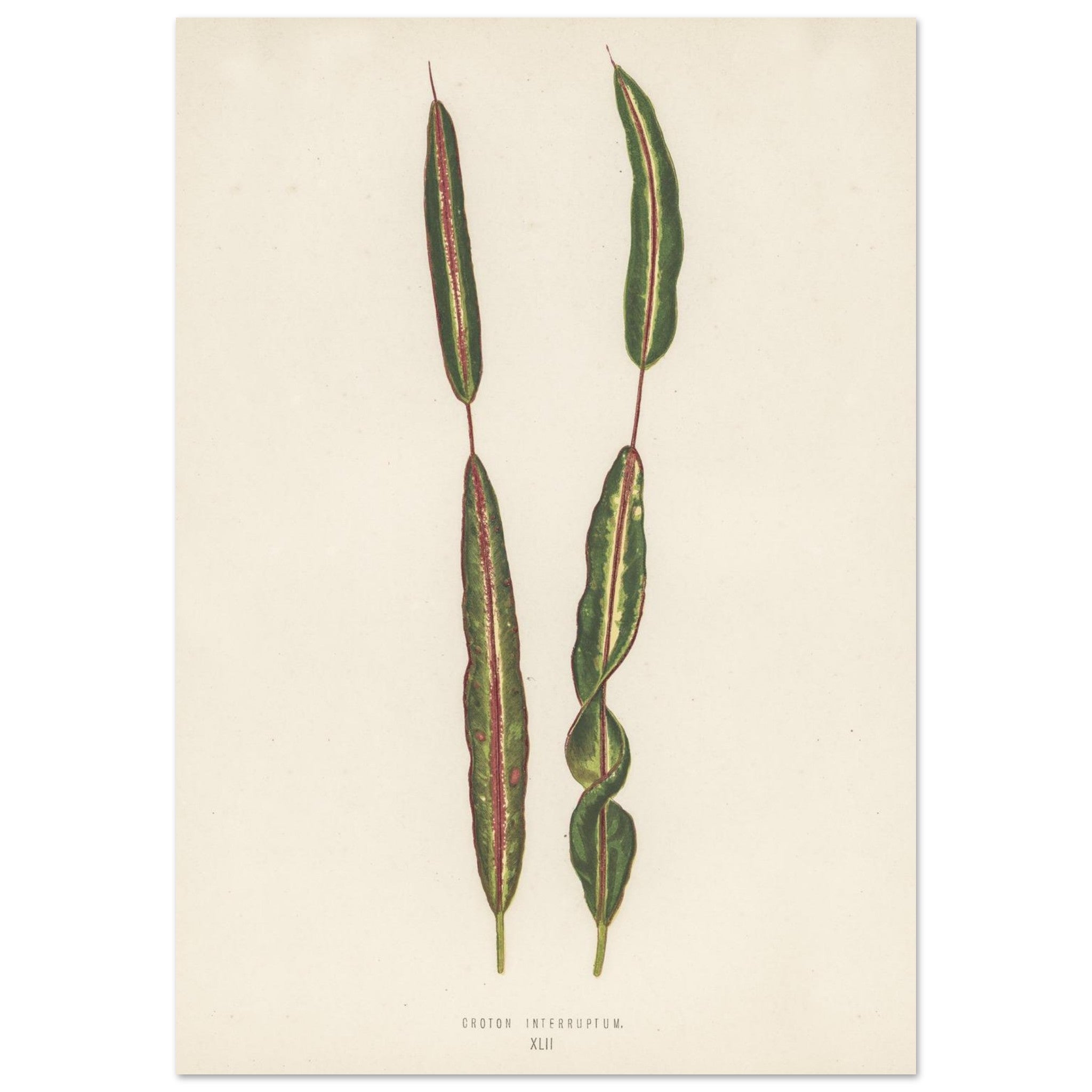 17e81971-2589-47e6-8bc2-445dcf5b5044