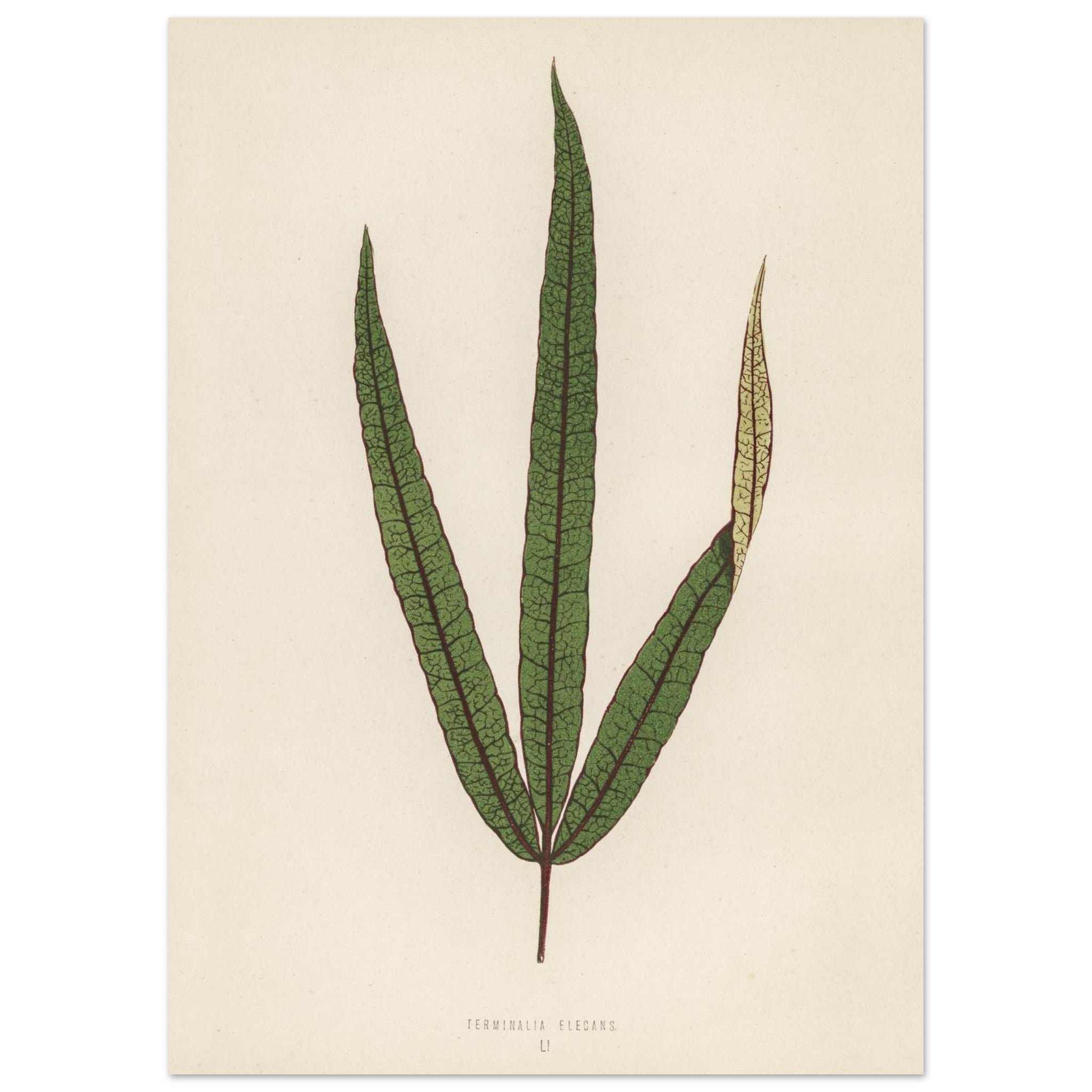 1a7c1d6d-5d65-4a85-b766-8c137c25f3d3