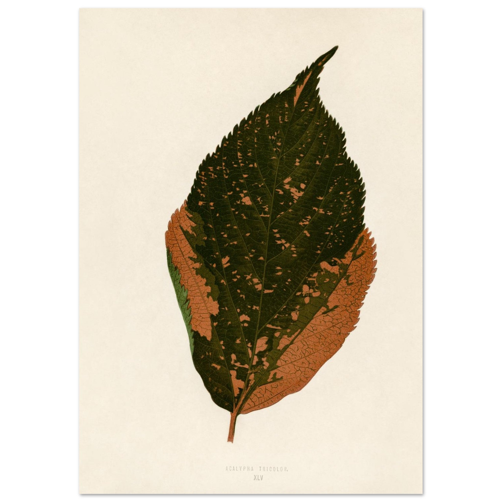 1d3652dd-4104-4239-b89e-ed81dd8f8660