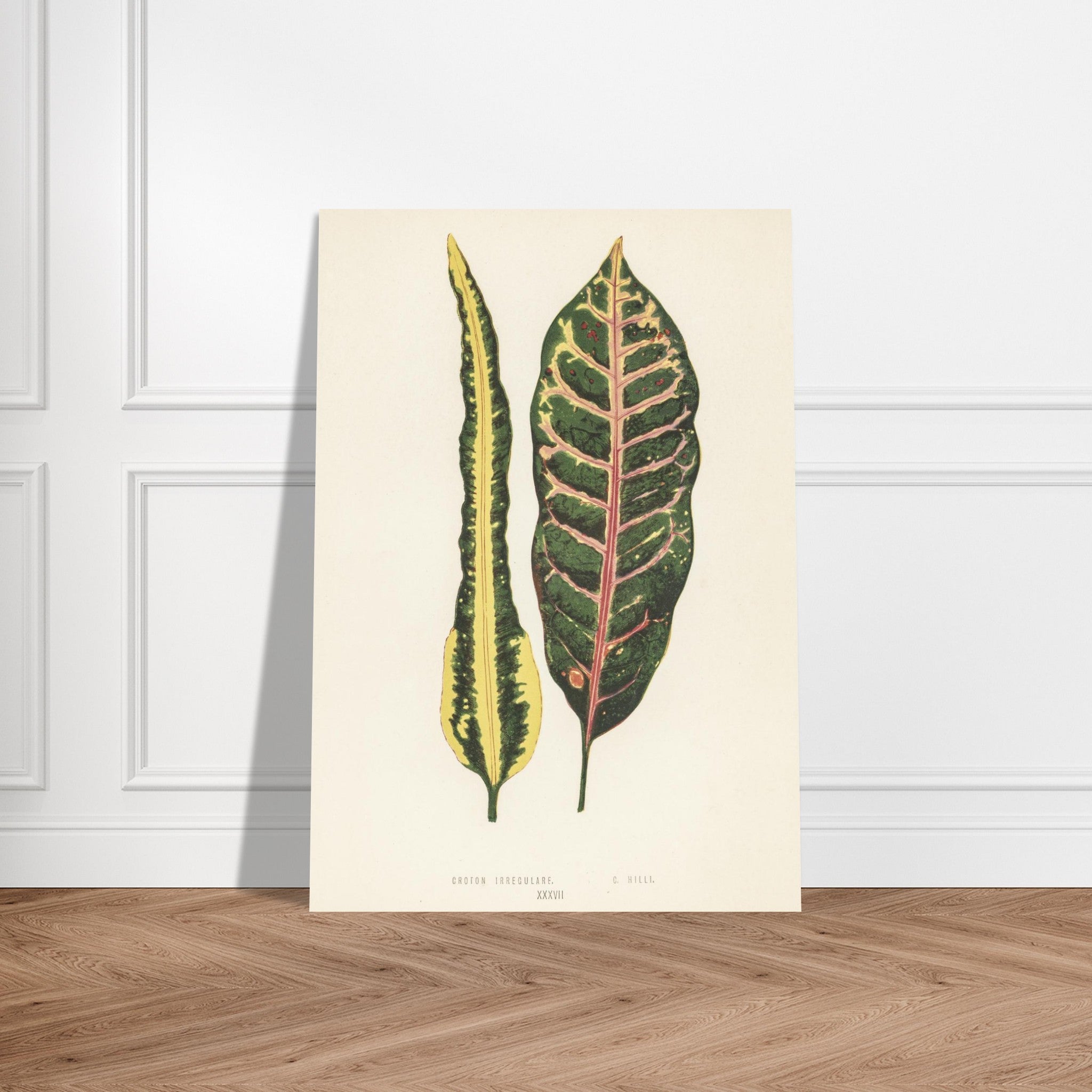 1e1d9250-6bff-41f7-9da8-e03cdd986c01