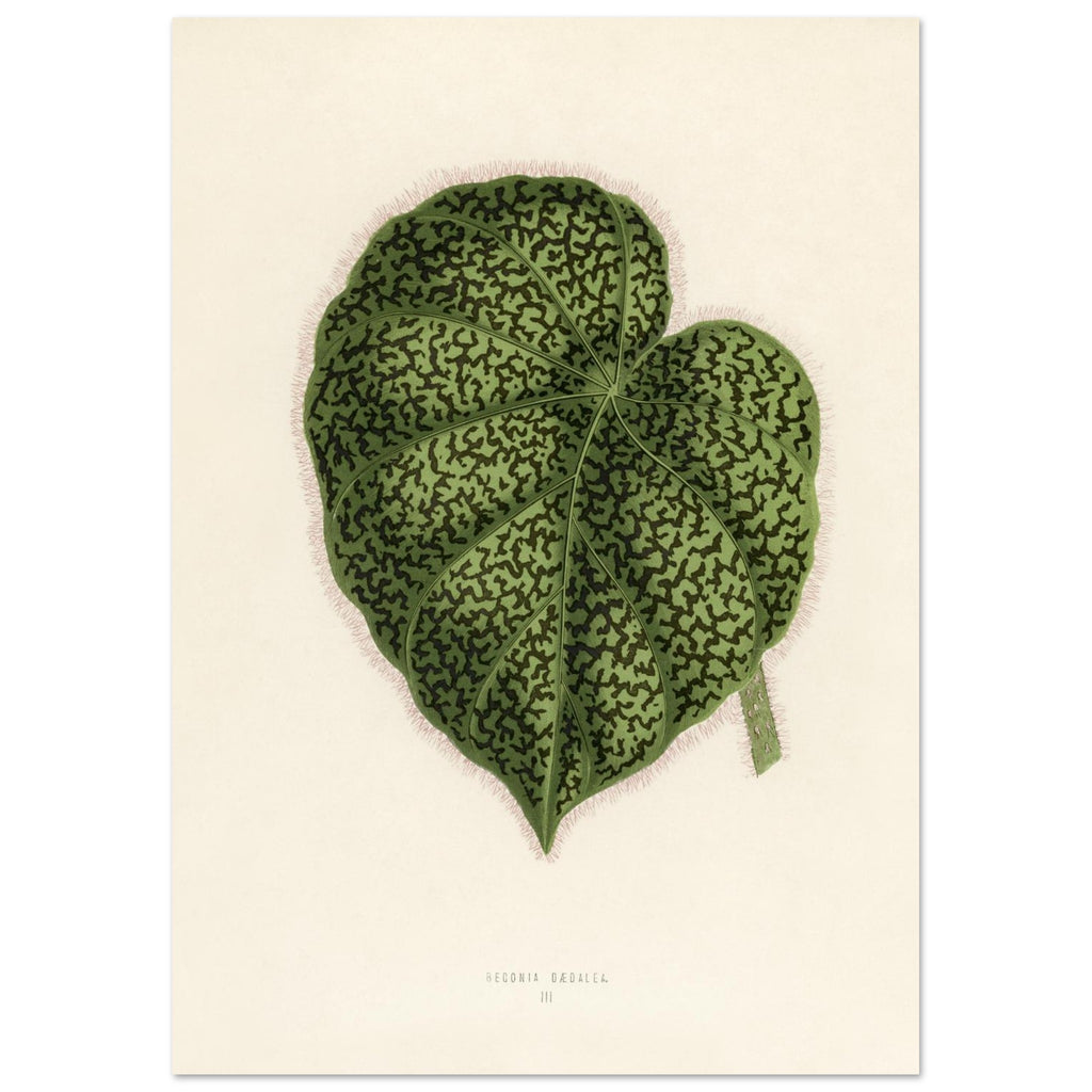 231f8845-356c-45a8-8cf5-28e50ecd426d