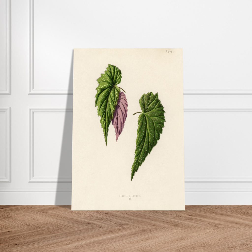 24a47425-fbd6-426b-bdd2-26762c7984c0