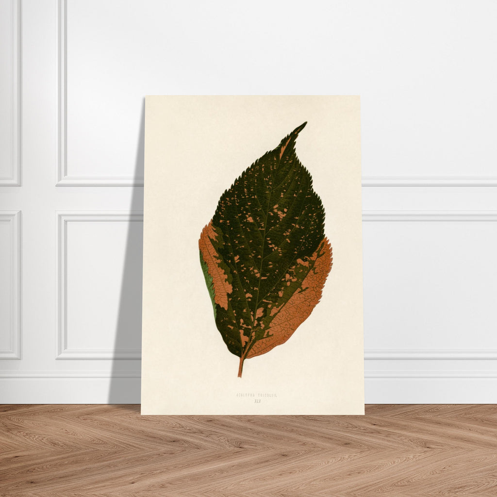 24c1ce43-20ac-43d9-8a5f-54f058412dac