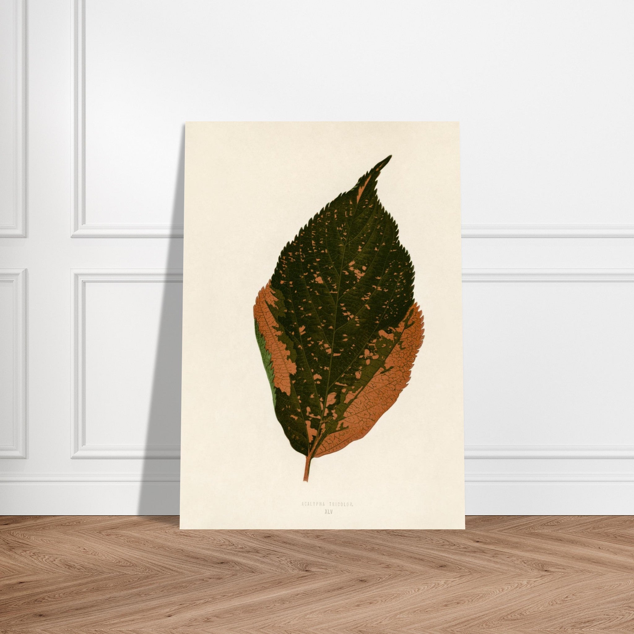 24c1ce43-20ac-43d9-8a5f-54f058412dac