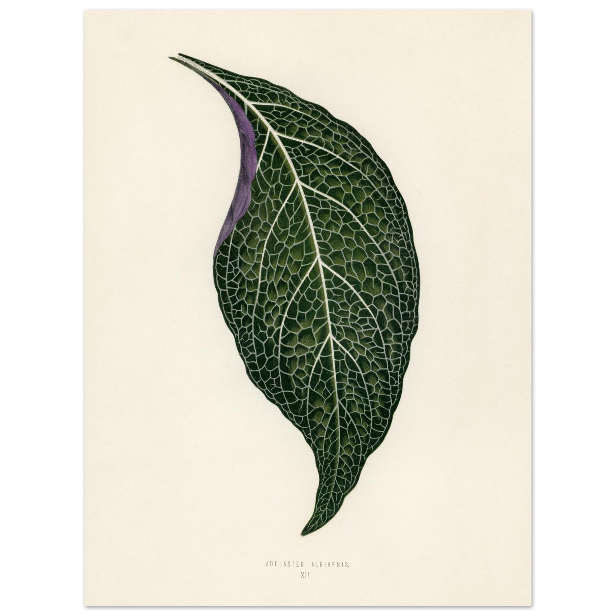 282863bd-99d2-44e3-8f5a-d67ebc5032c3