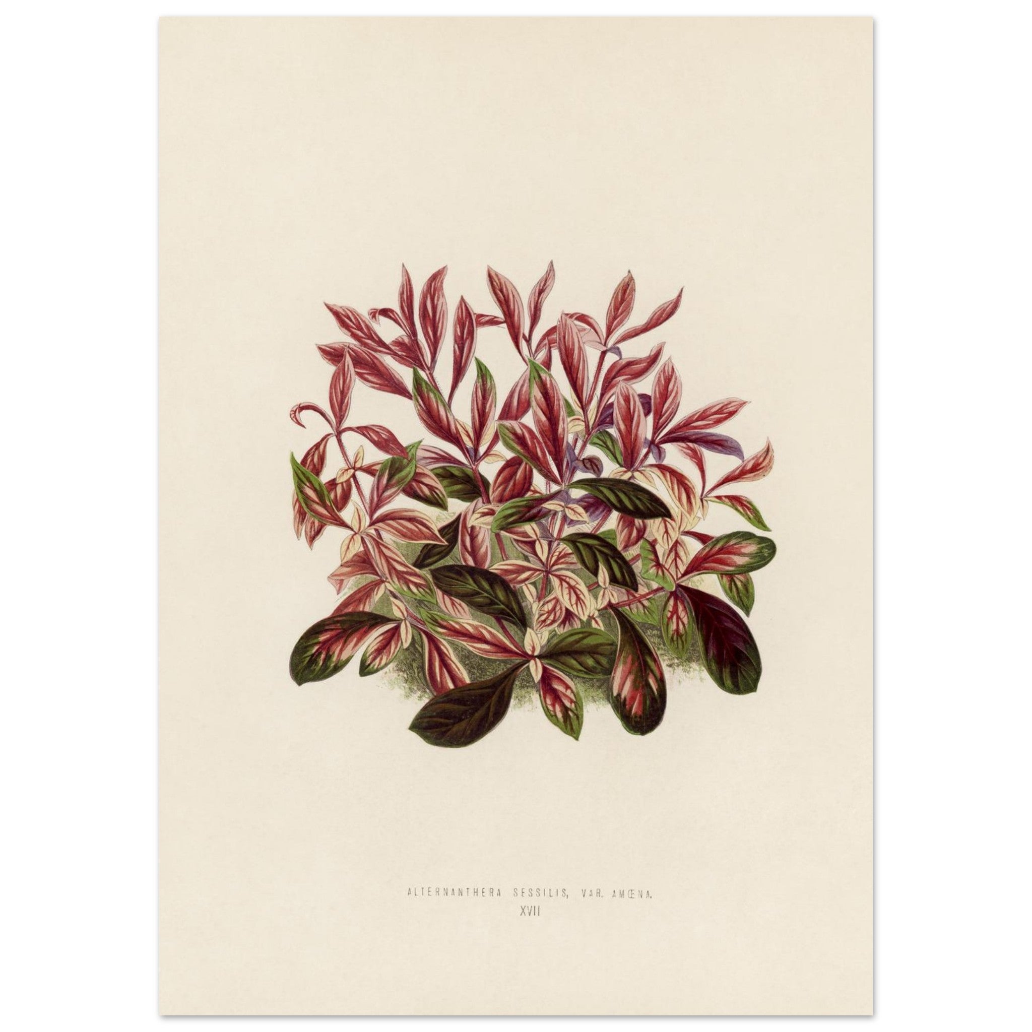 2e408cea-46fe-4020-89aa-0a3b429c4ac1