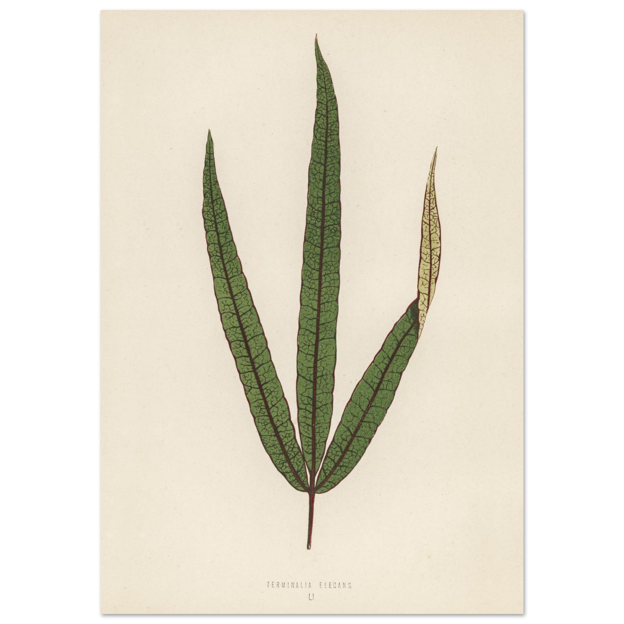 2eb0a136-6b2e-425a-8a41-711c02da9f1c