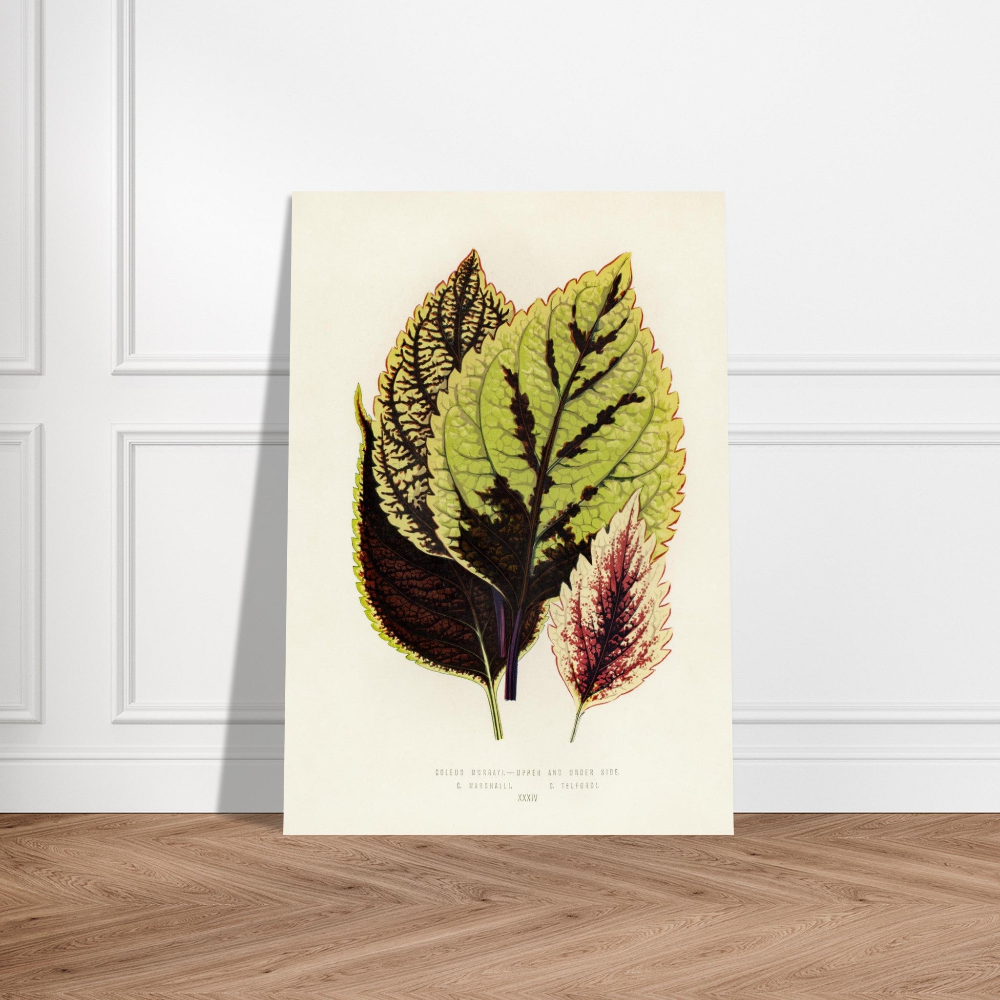 31683401-fe5a-49a0-8d7c-5446461d89c5