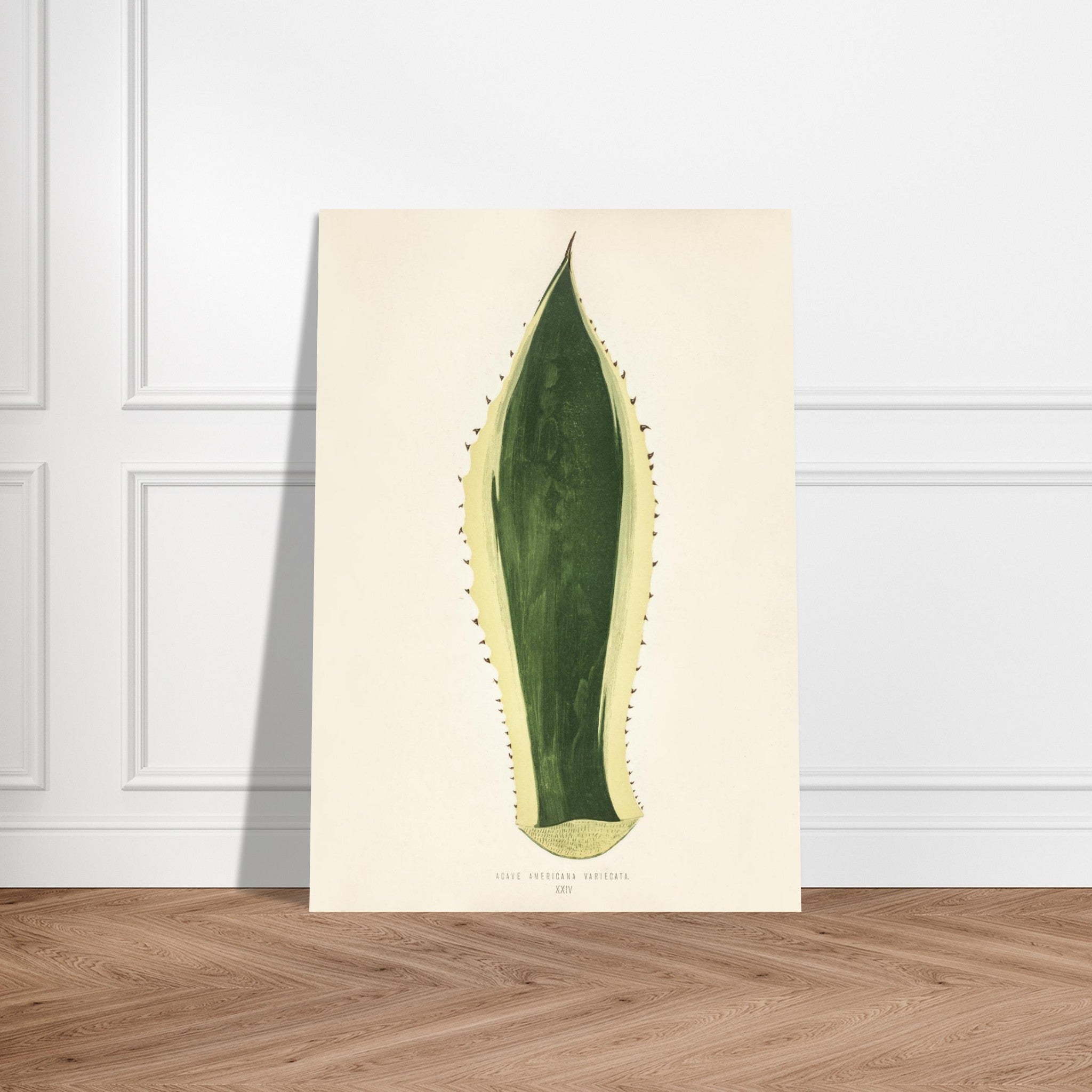 31e98911-ae8a-4b82-ba6c-294e53b5f6d3