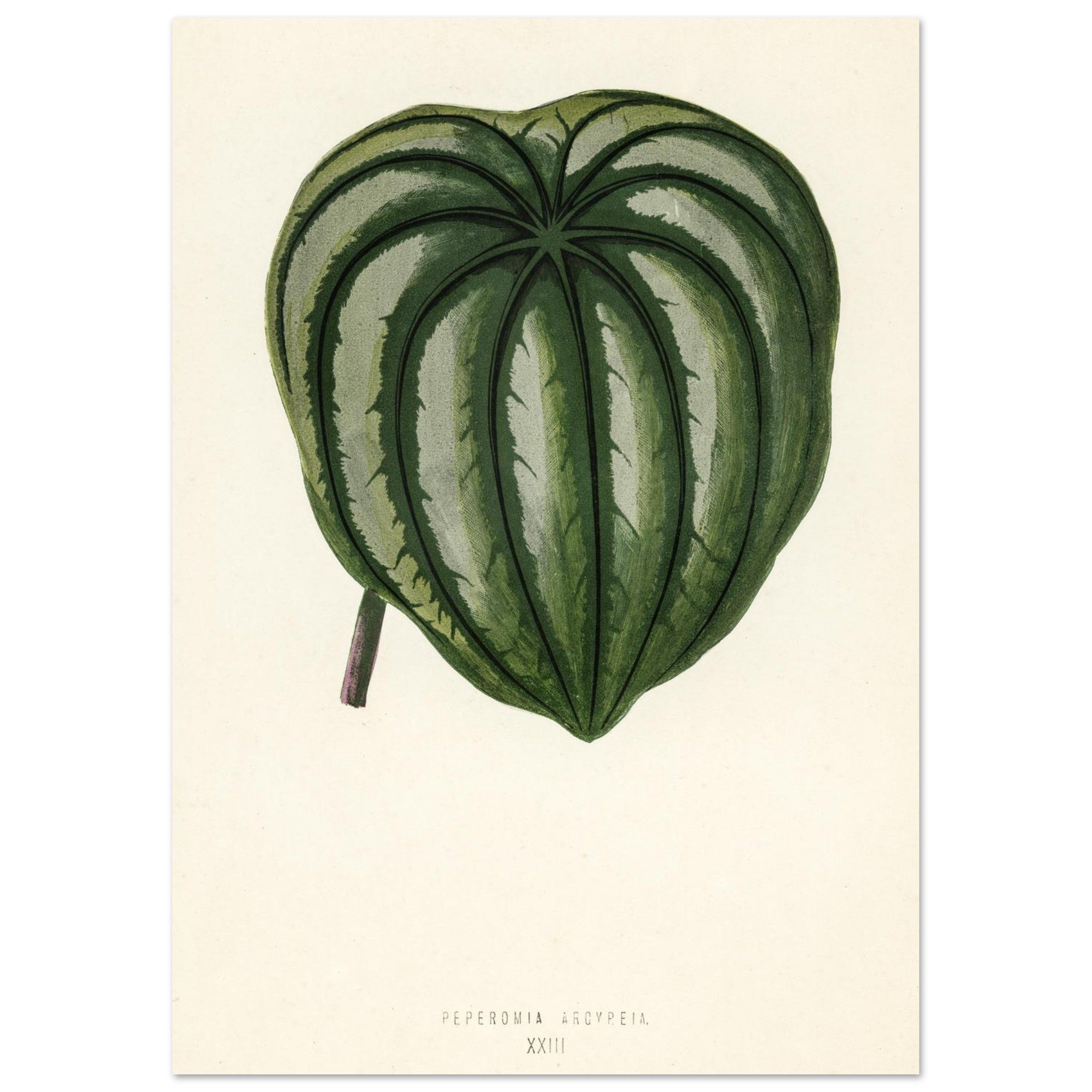 32b582d1-eb11-479c-ae7d-0f02a051fd7e