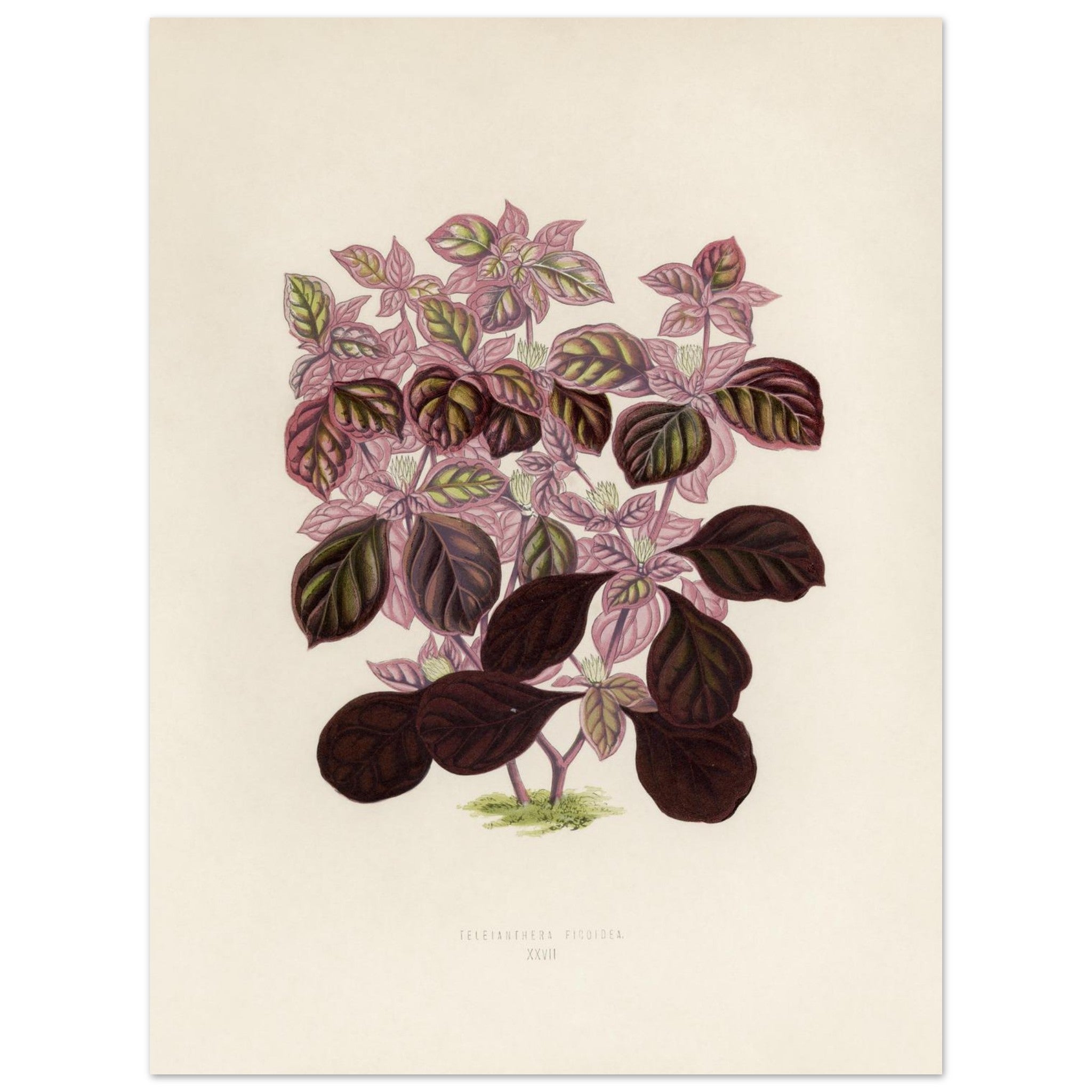 3c00fb39-1eea-45dd-a66d-c3318219c920