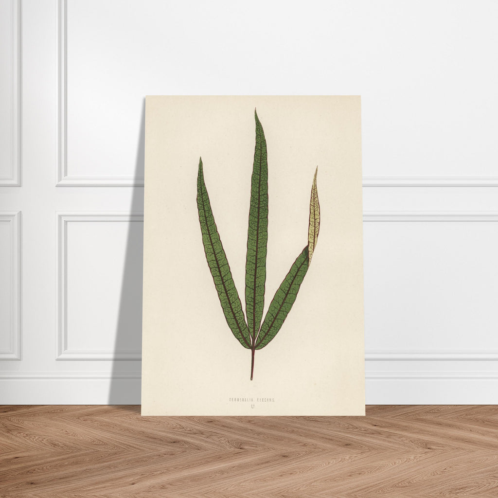 4135e599-42ab-40e7-9ed3-1e5298ec6a0d