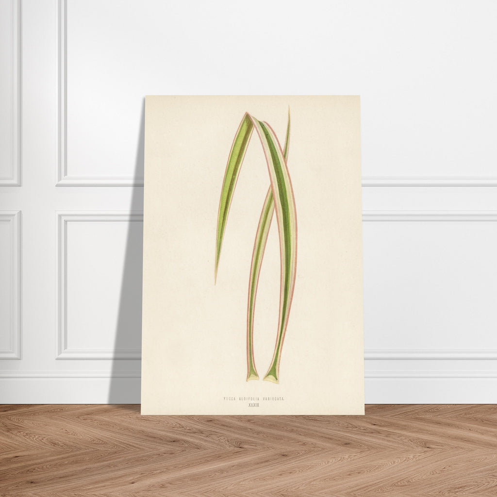 41b7707f-c0dc-4021-ae9a-e82a16b3b614