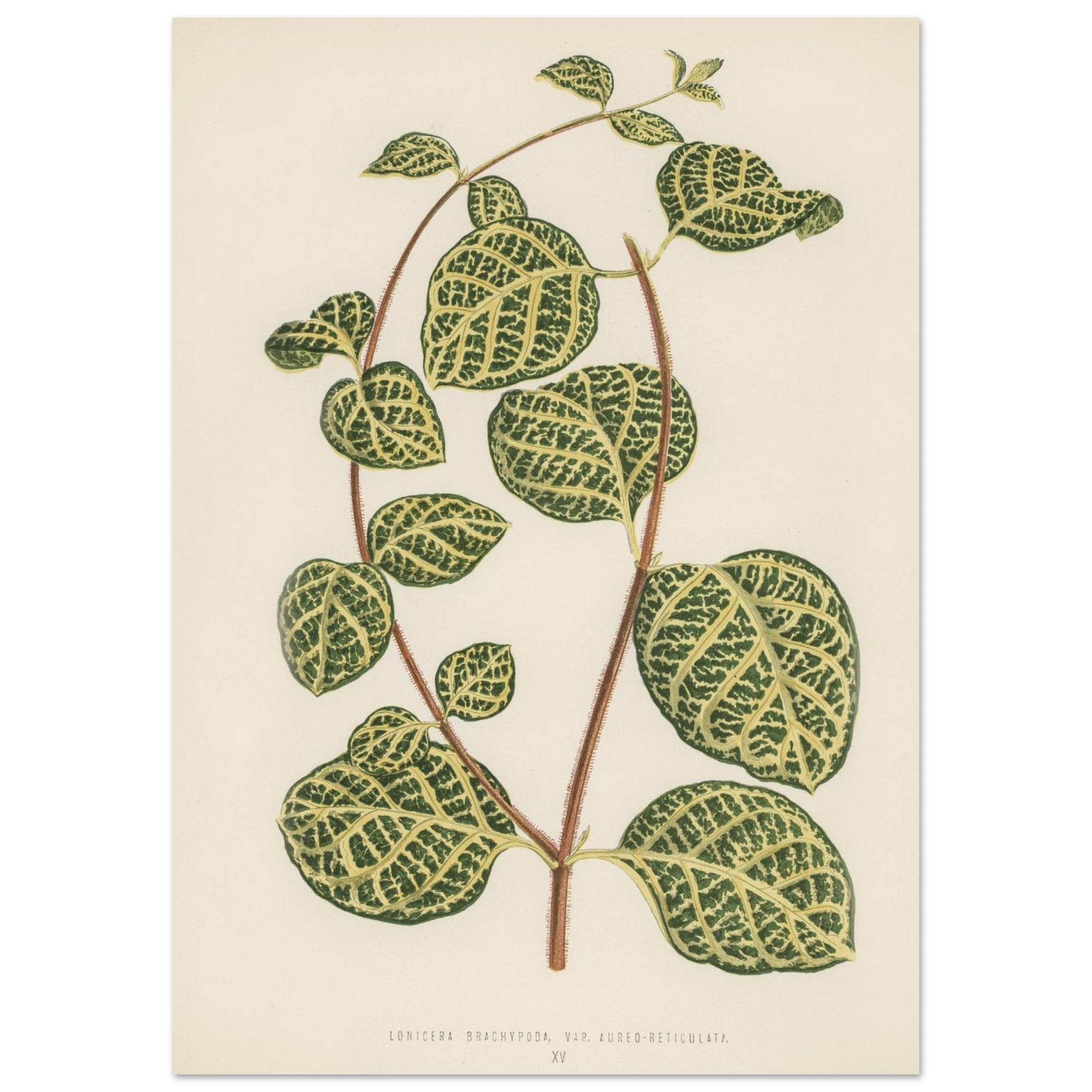 43f4587f-dae8-4d7f-b6ff-8dd22fddb6cf