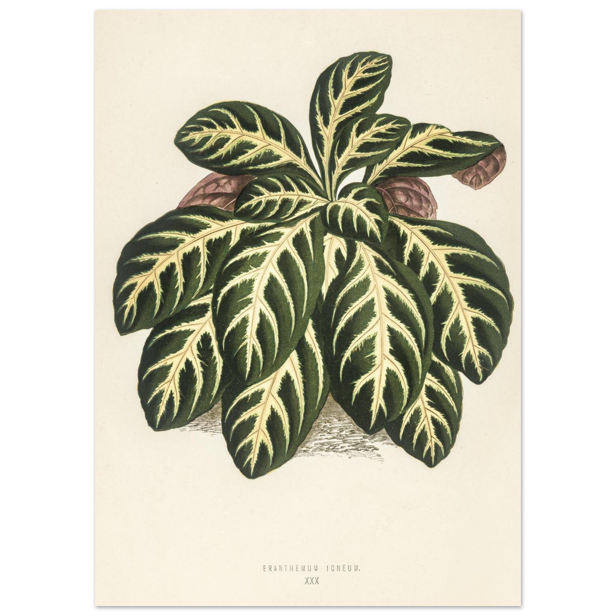 46ba5697-932b-45ea-8eaf-649aa165bd96