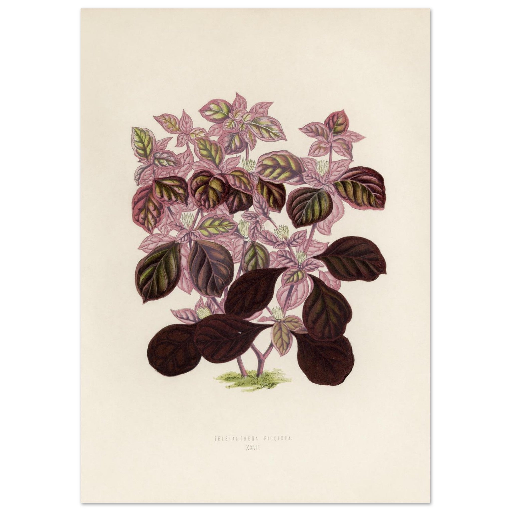 48420509-fd00-43d2-9ffa-961827b7795b