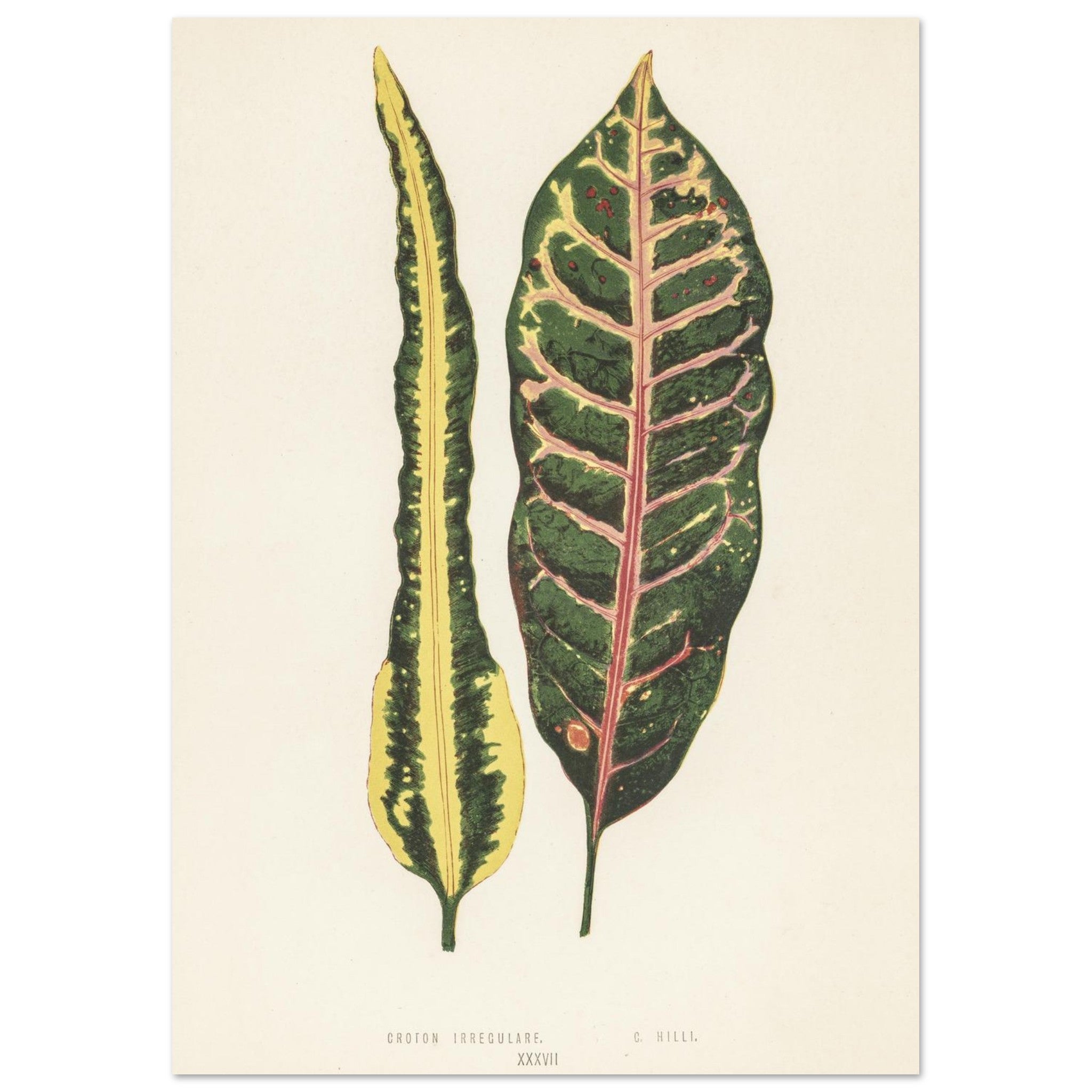 49002ce3-cc4f-40ba-a4c6-9dcbca7747c3