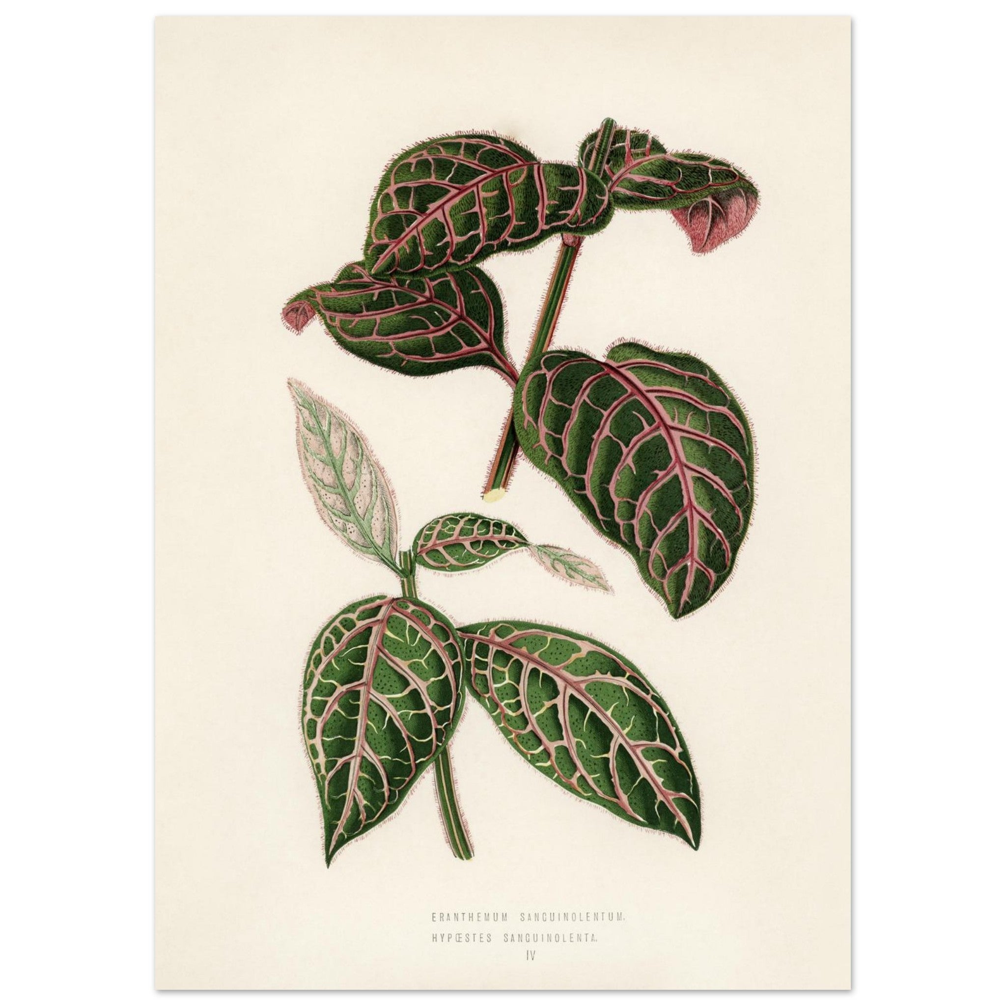 4b6831ca-7bd2-4ede-a670-678cb6f3bd4c