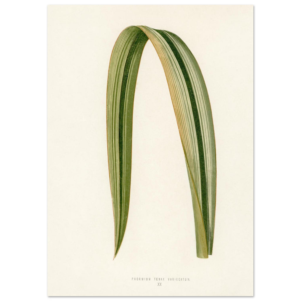 4c2823a0-4ab8-49cb-8481-3153fcfdc923