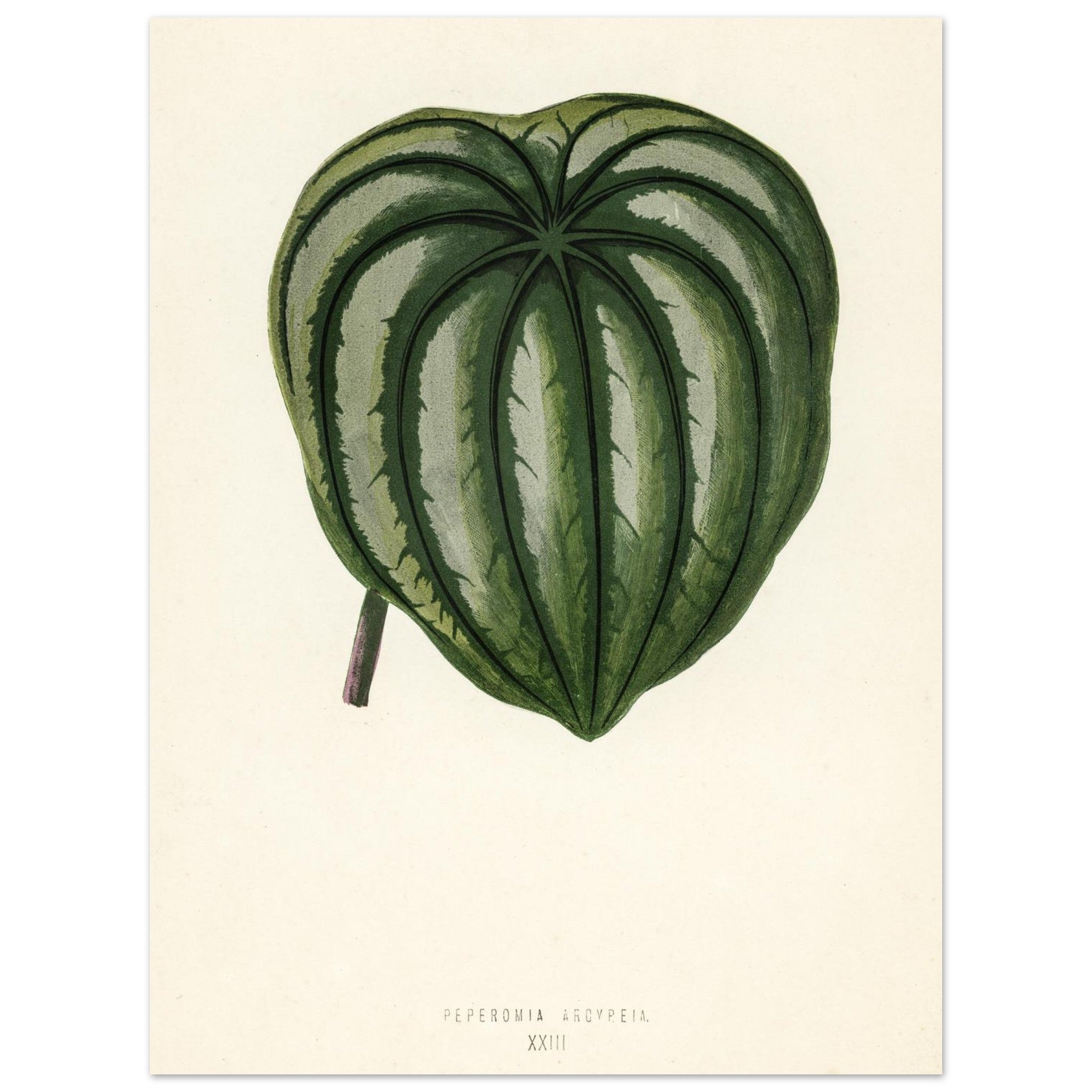 4dbf64ad-547b-4ad7-b894-3fa1773a4305