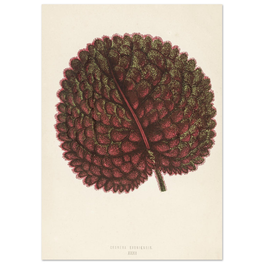 508f89dc-f5ec-4bc8-92f9-cc41f02df20f