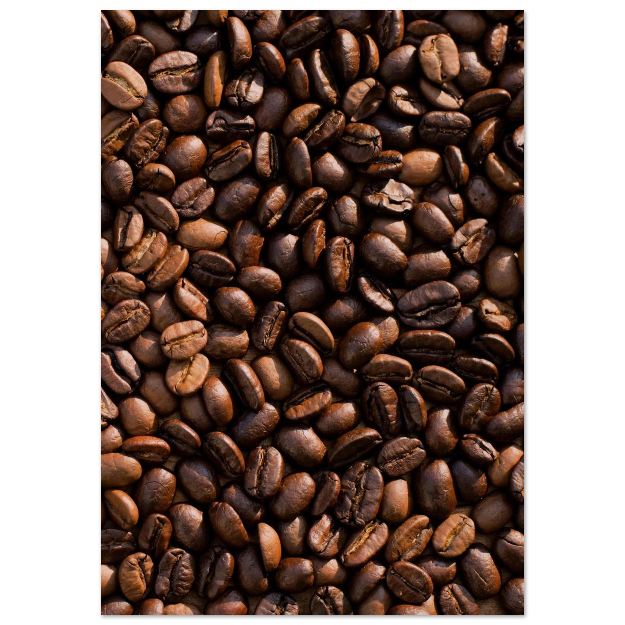 55b05371-1abe-4847-a2fb-8894be22d330