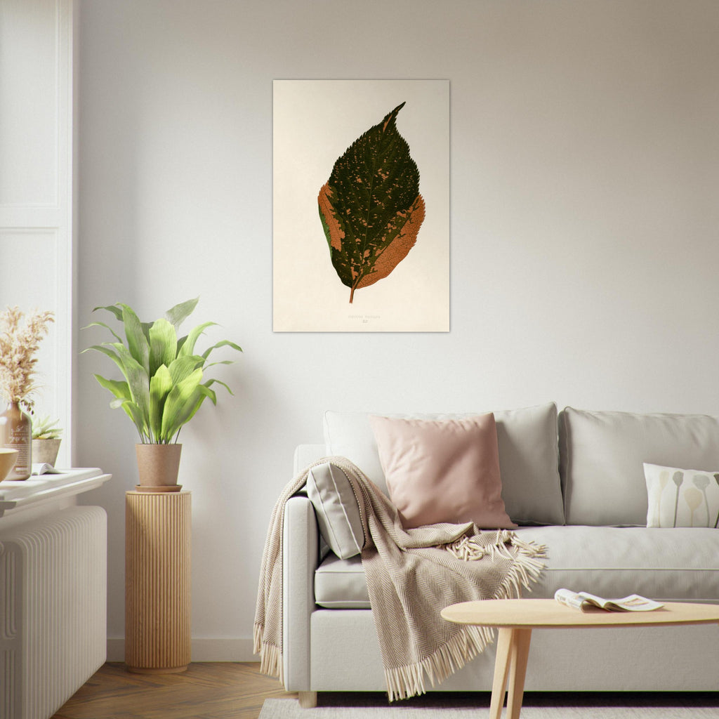 5762cf7c-b85a-4ff7-a2e1-b4fce851990f