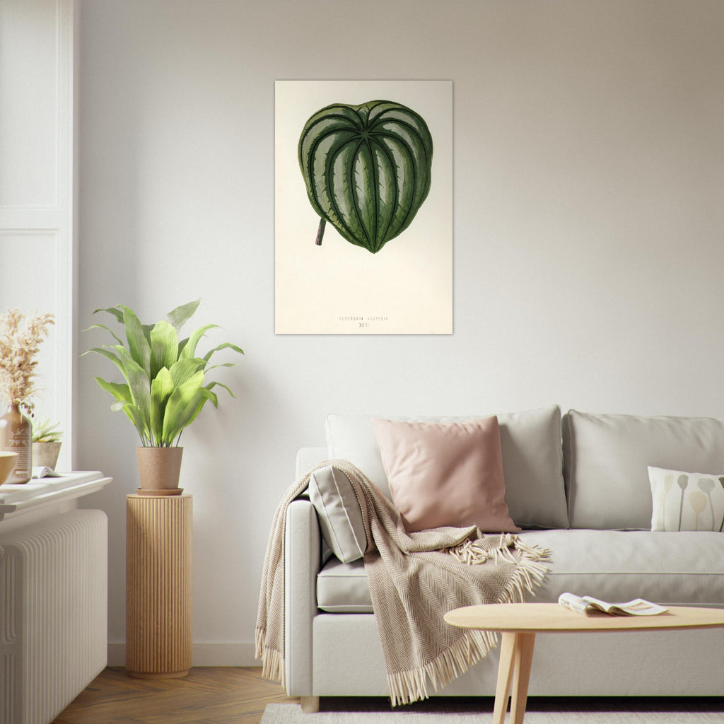 679479e7-f6f3-47d2-9a04-29395a4236dc