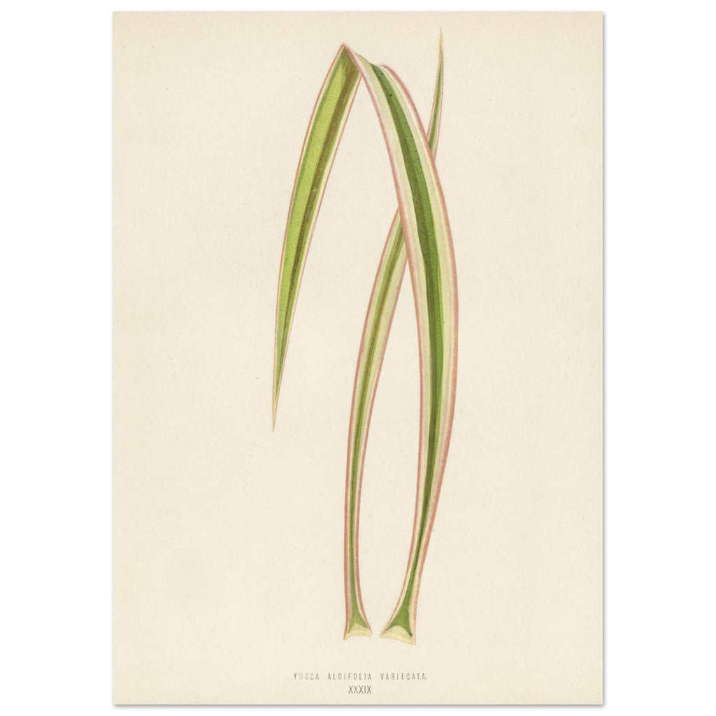 6794d1a9-ad0a-4274-aae4-242ea4b299c0