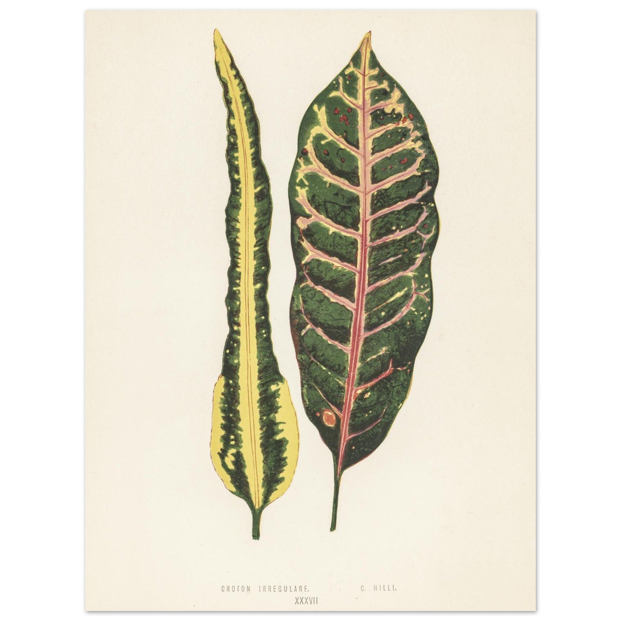 6a5b74b6-9d39-44ac-8271-f26b16c7a521