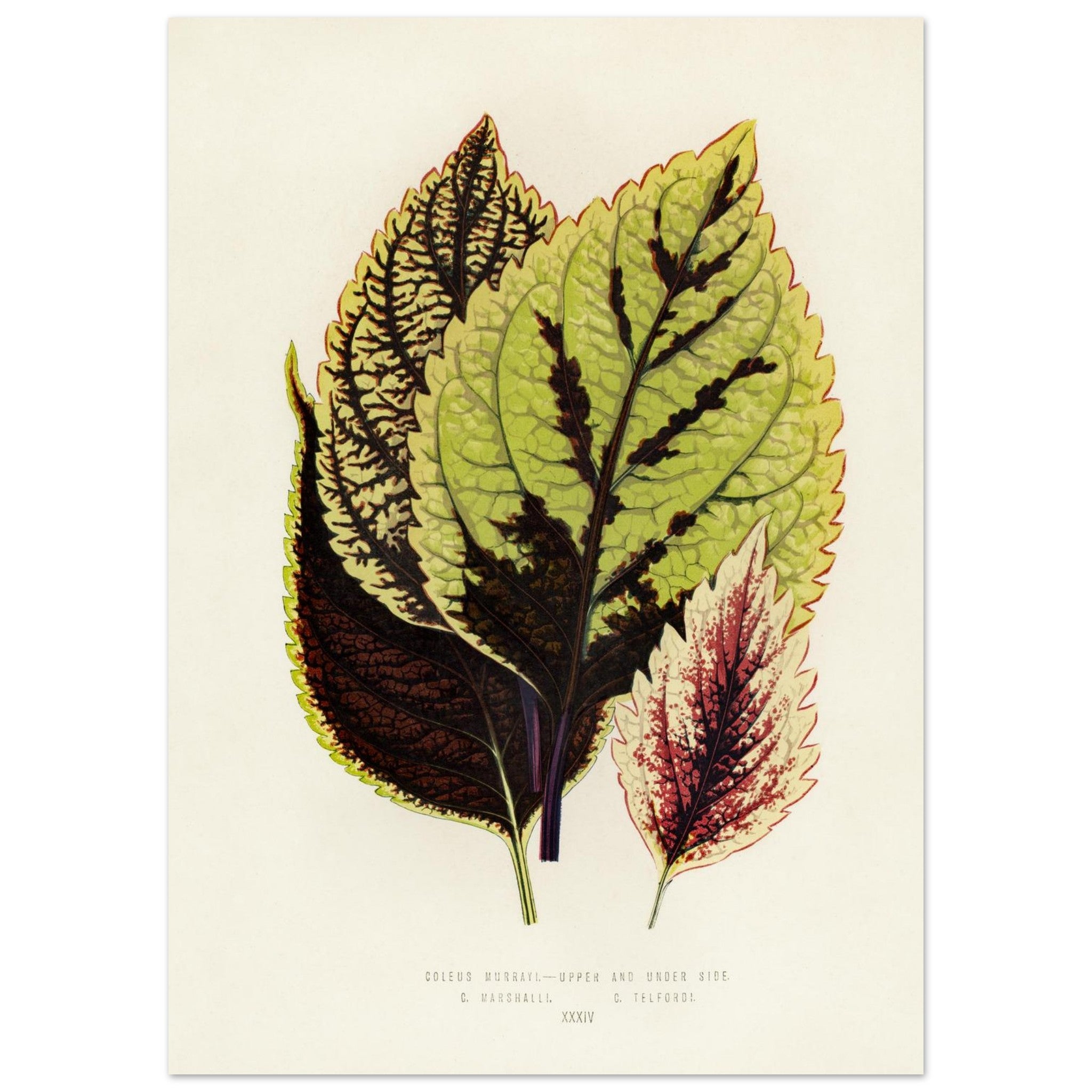 6af4aa02-95c1-43fa-b0fa-70853d28bfab