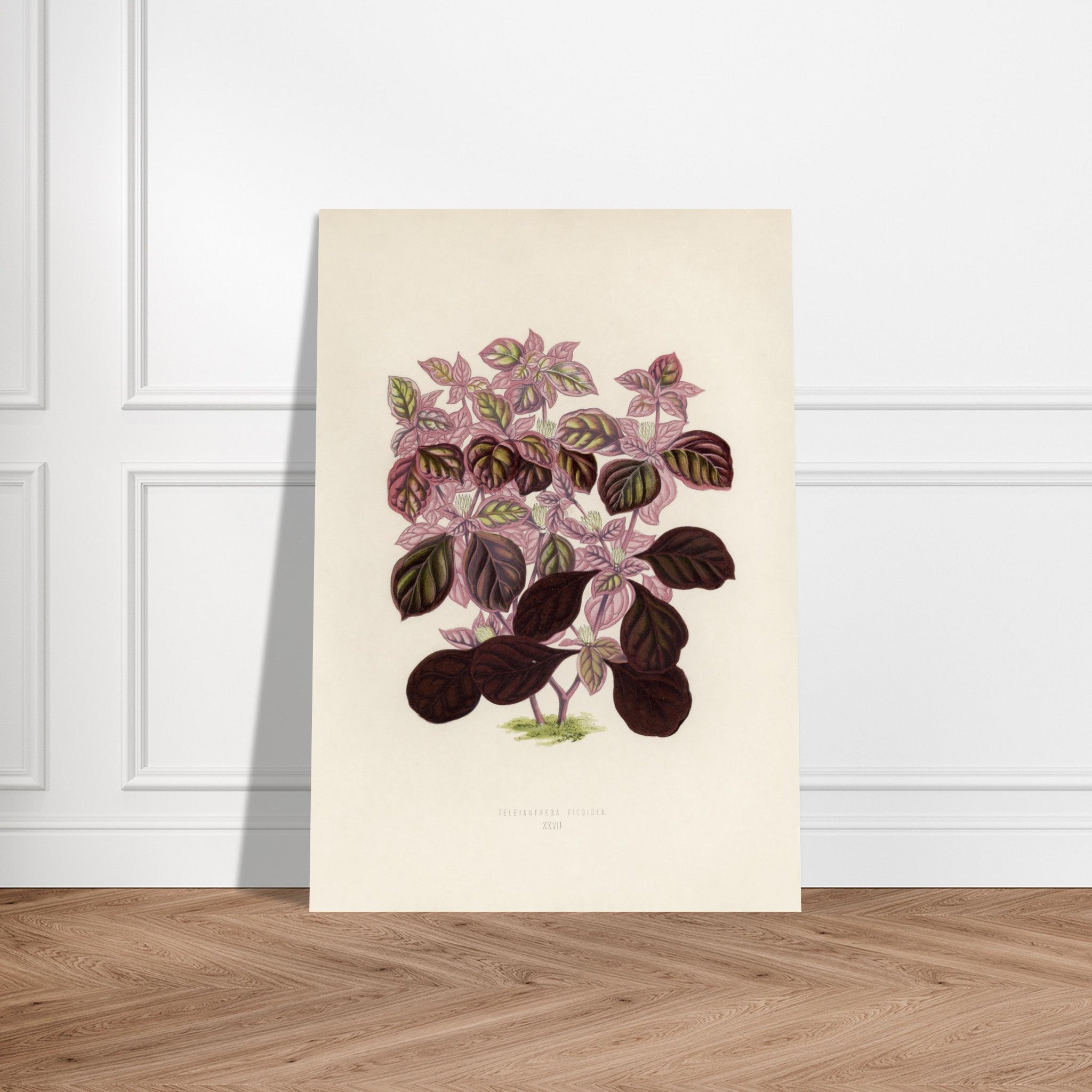 6c205441-0bb6-40dc-a503-0cf27eb63e77