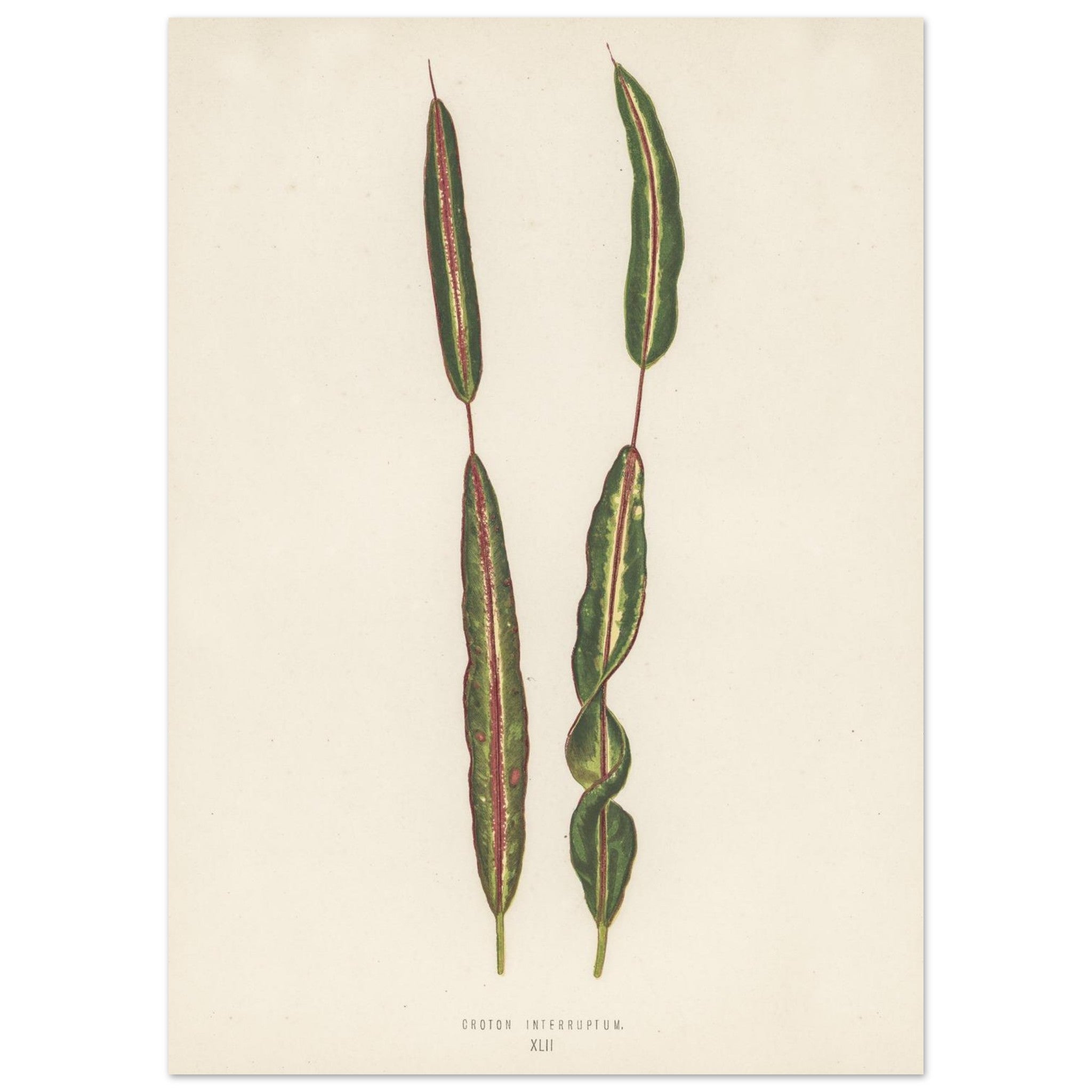 6d425c8b-7091-4d4e-827d-ac0e350589e7