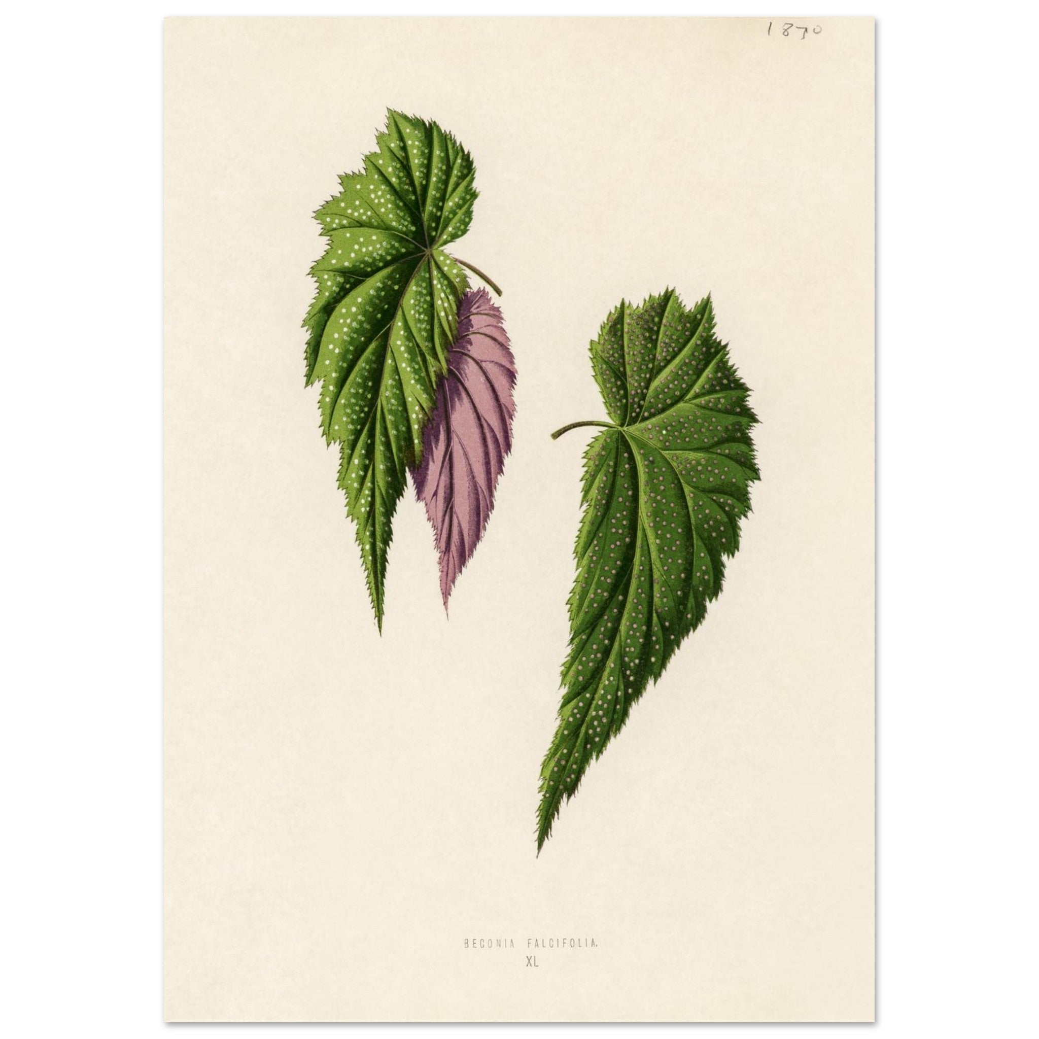 6f054324-075c-4cb6-ba4d-7e8d0fd058db