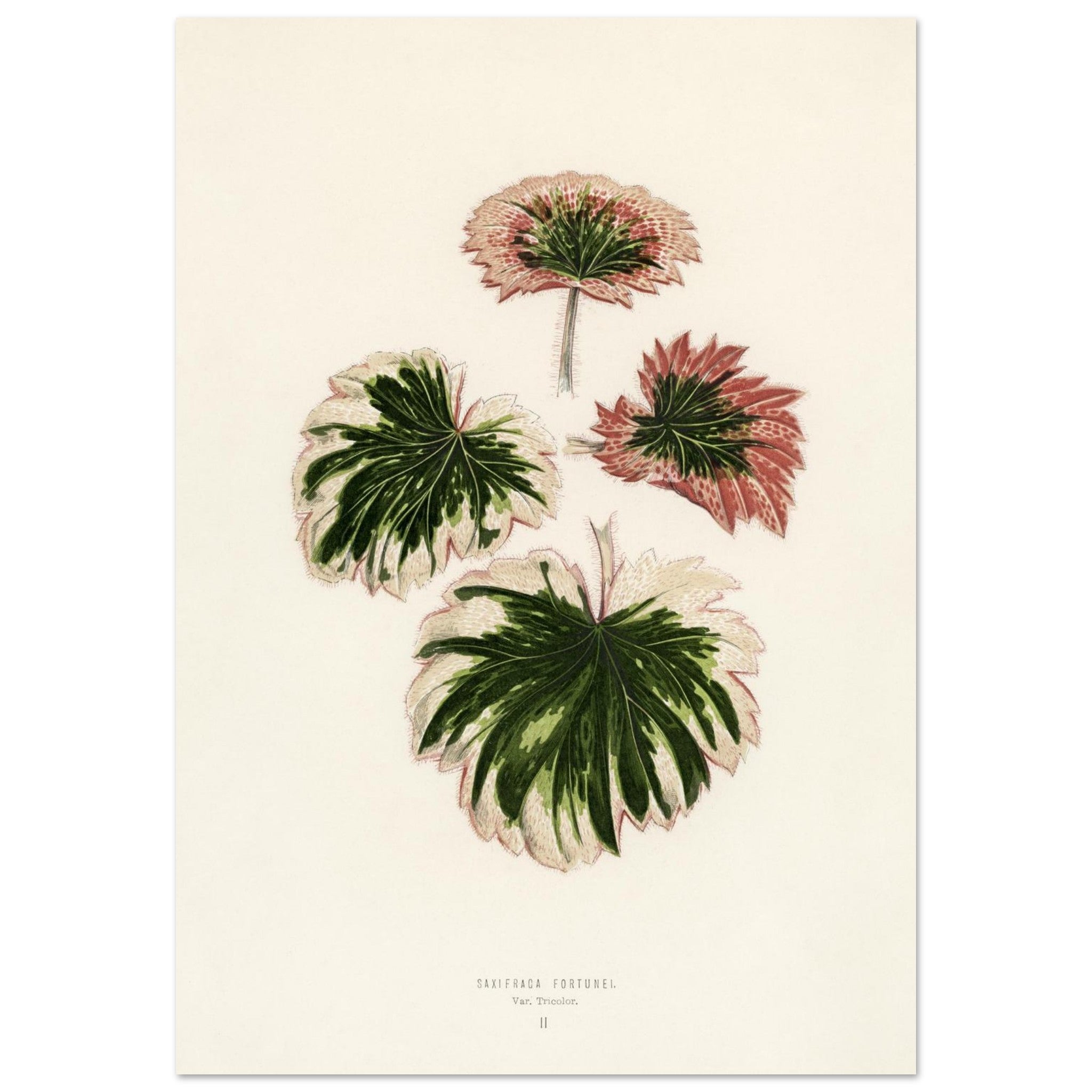 6f21e4cb-792a-43a5-8371-7952a90464e8