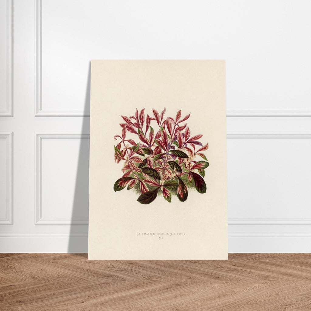 6ffcaaf0-d007-4264-bd4c-72289902ecc9