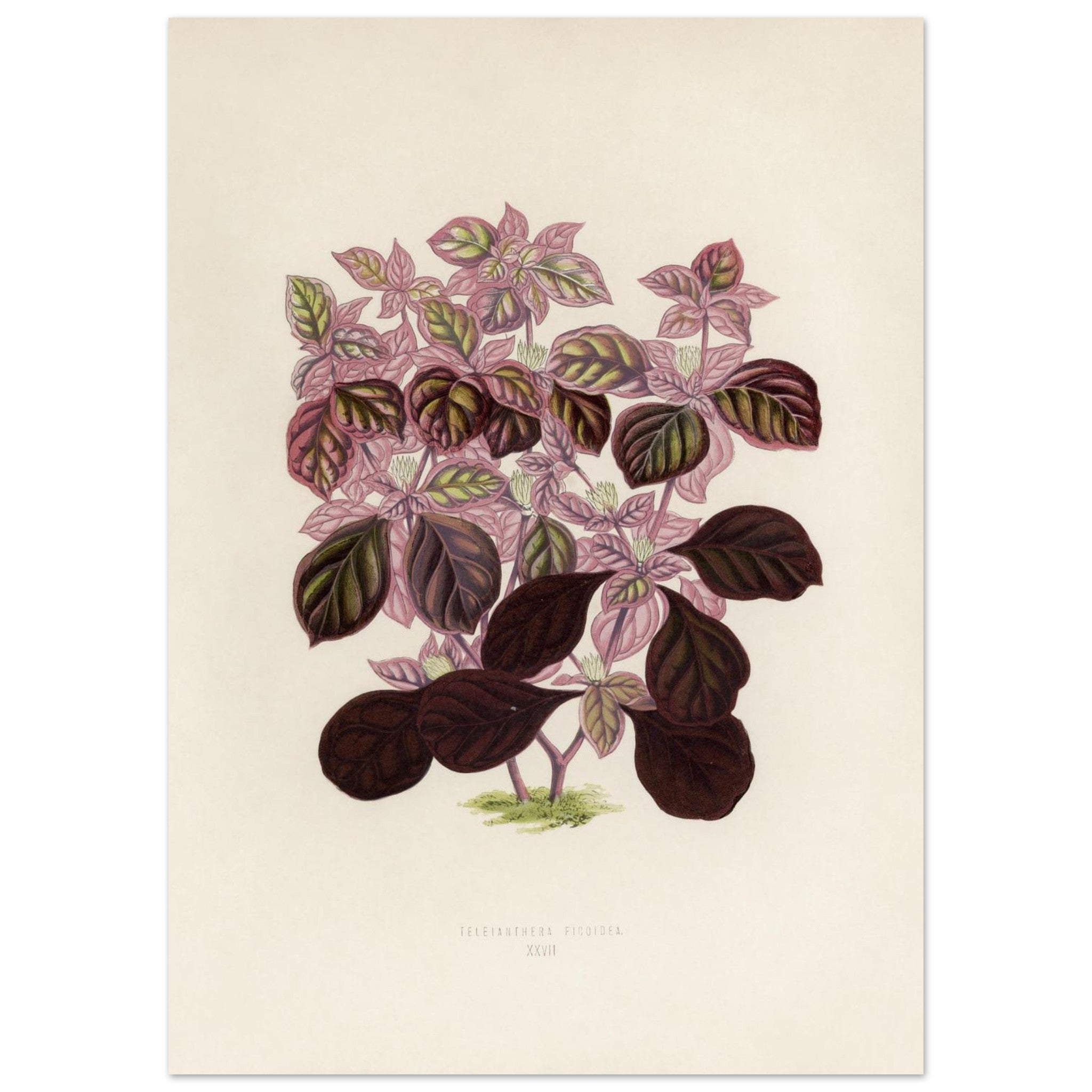 7059325d-4348-4809-a189-239b777b3047