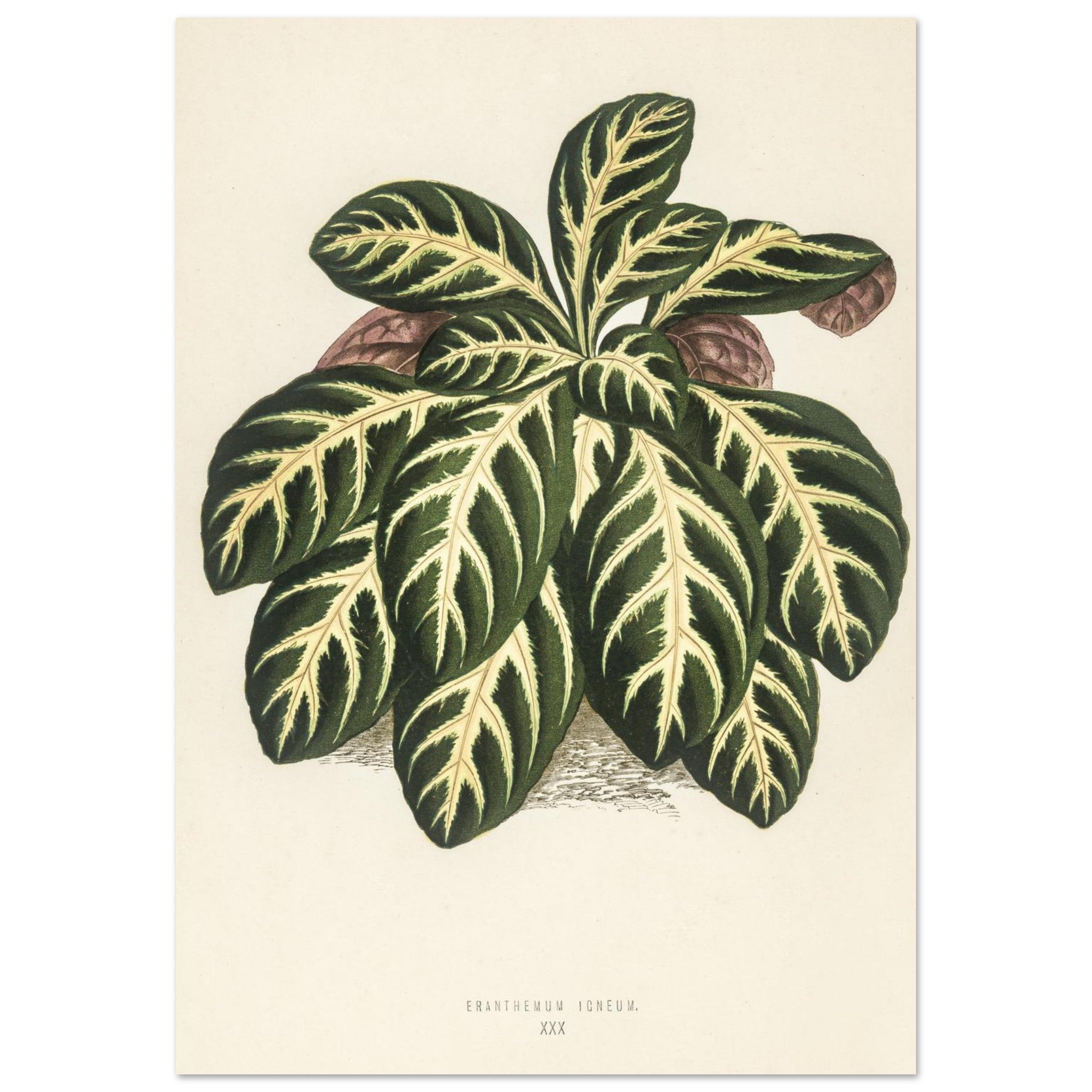 7144dab2-c97c-46db-b375-687e80105f84