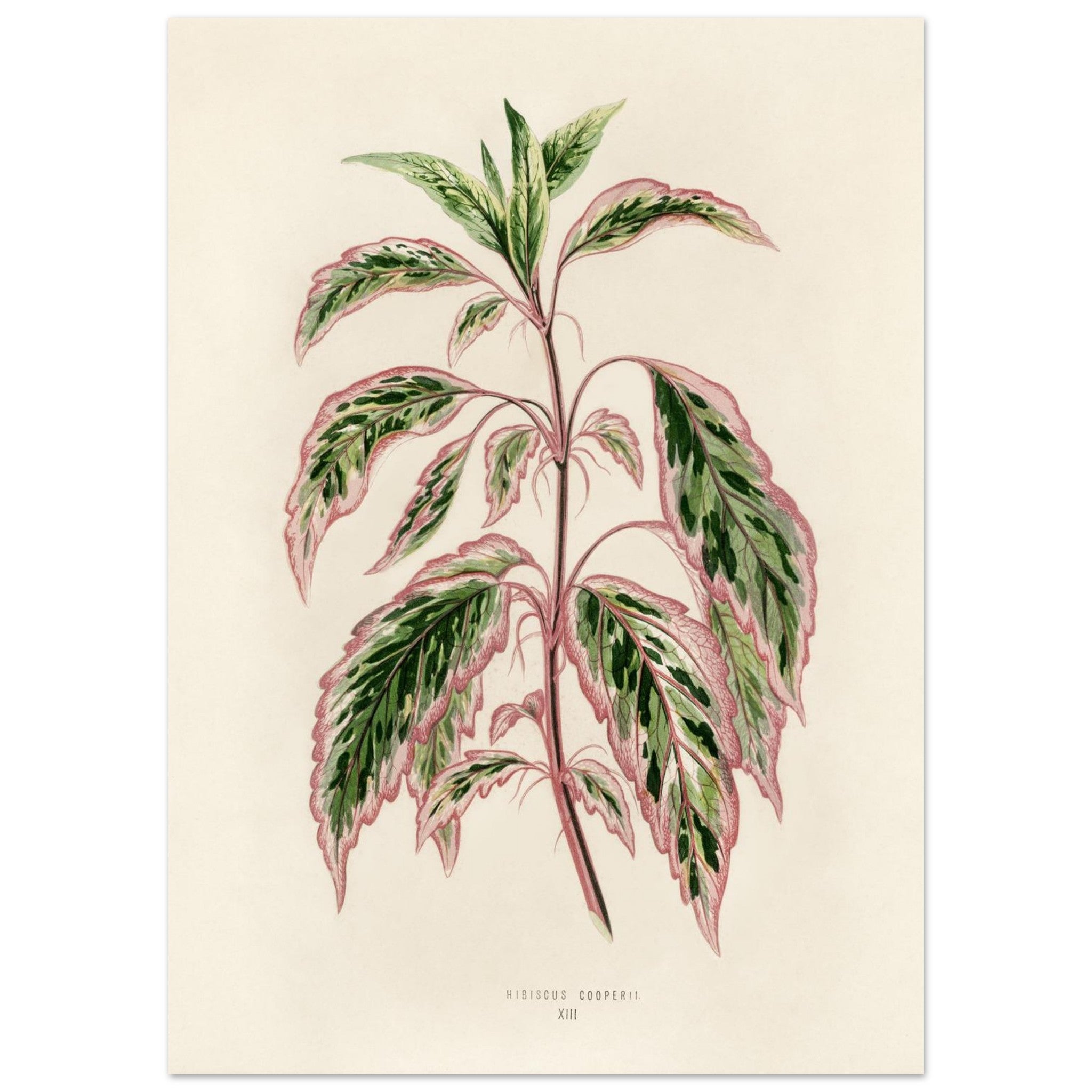 7975cd1d-49db-46e4-81c1-9ae0c803ab49