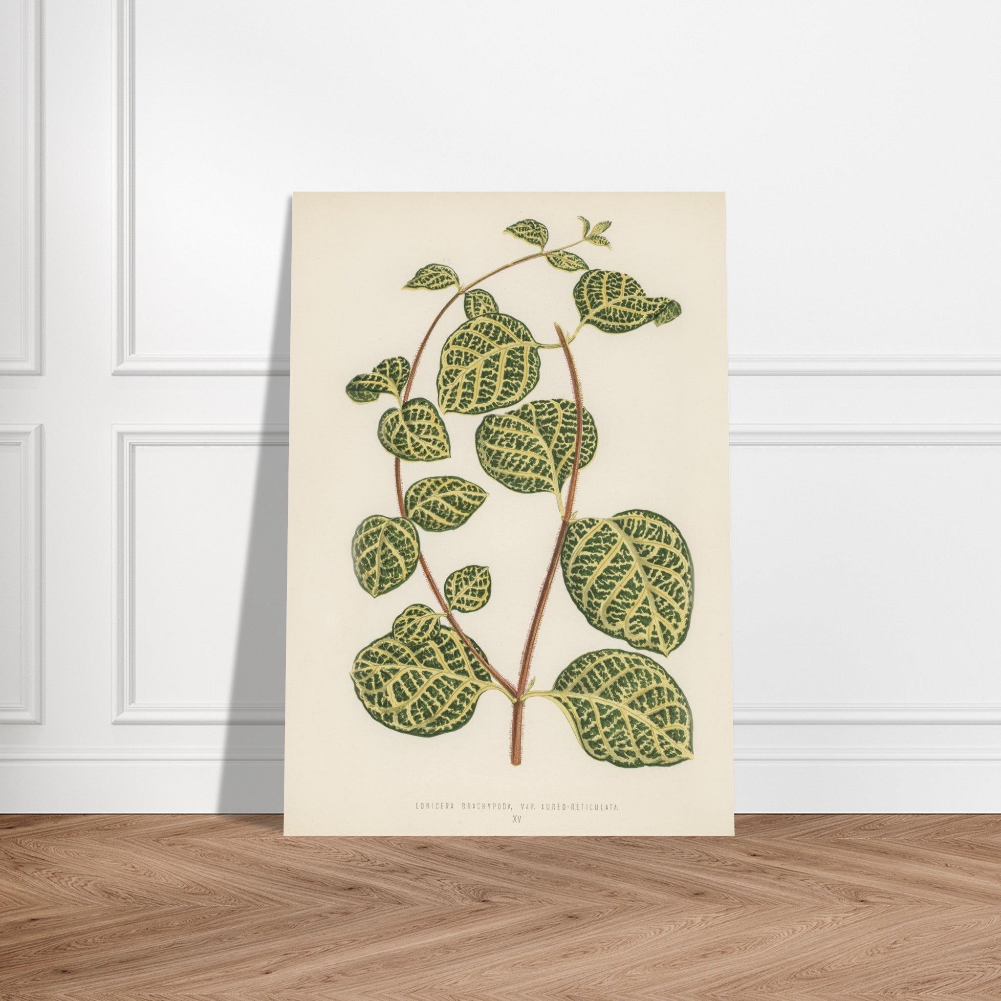 7b8b3d6d-f1d1-4843-8c05-ab101e8bfb77