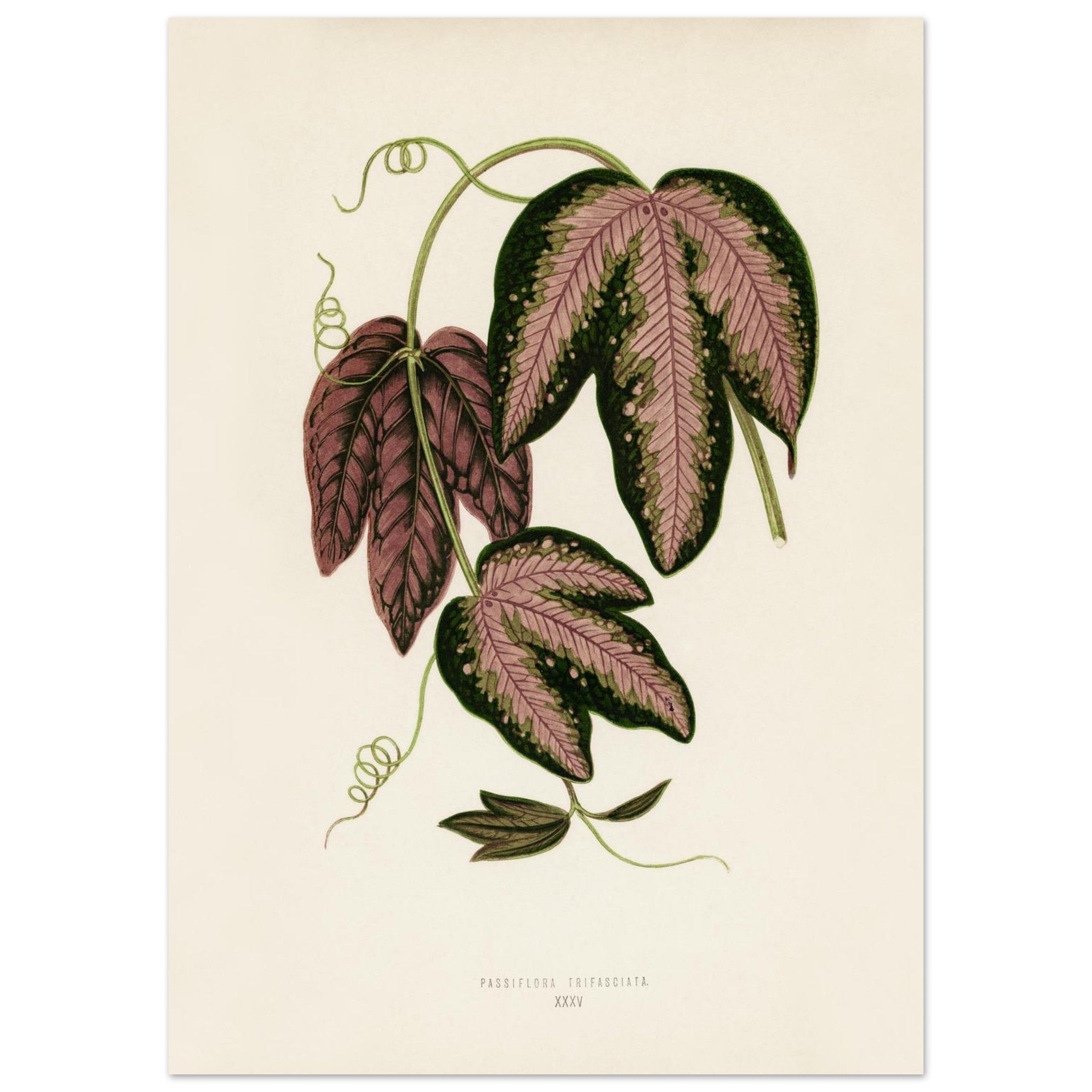 80e7eda9-7b47-4852-853e-e5f335ca2468