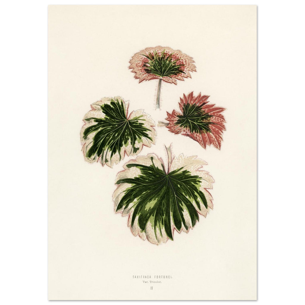 82b2eeb2-16cf-4732-aa20-45f073dea7a2