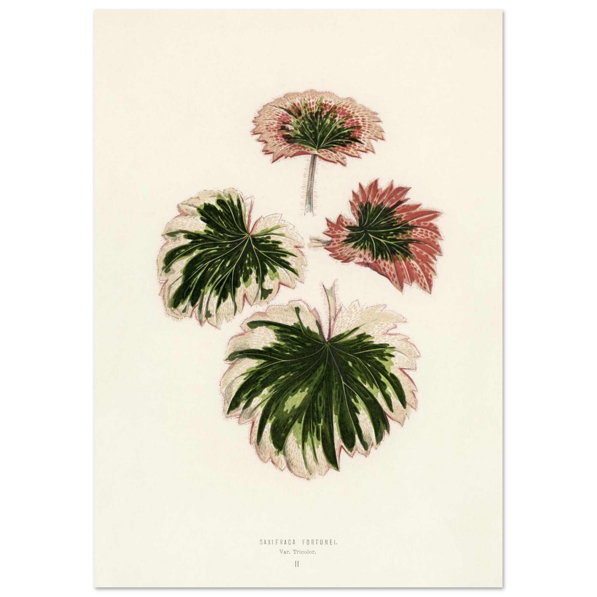 82b2eeb2-16cf-4732-aa20-45f073dea7a2