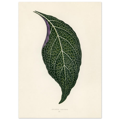 83b9d43e-4d13-4eae-8a0c-fdee21885da6